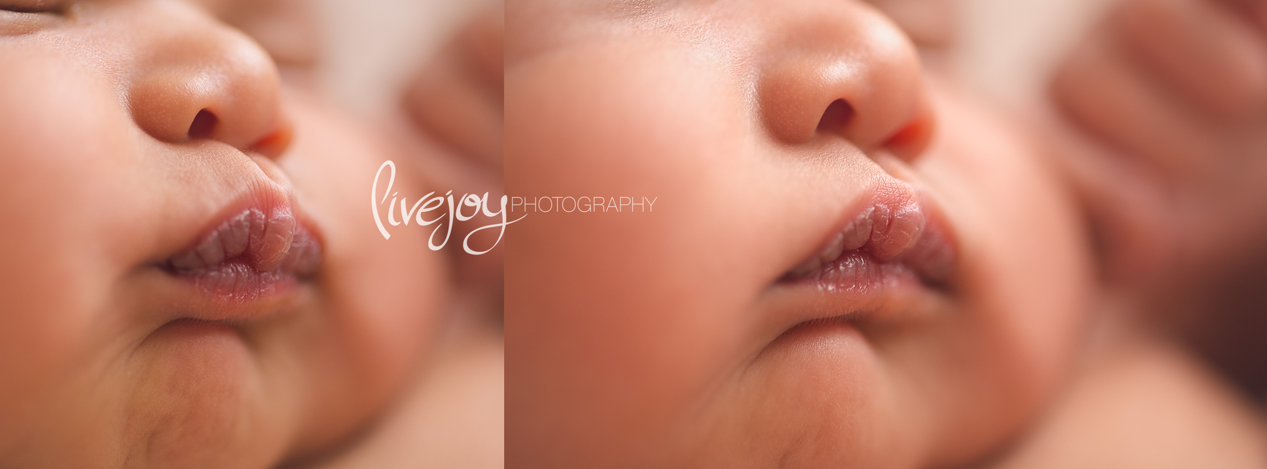 Newborn Photography | Oregon | LiveJoy Photography