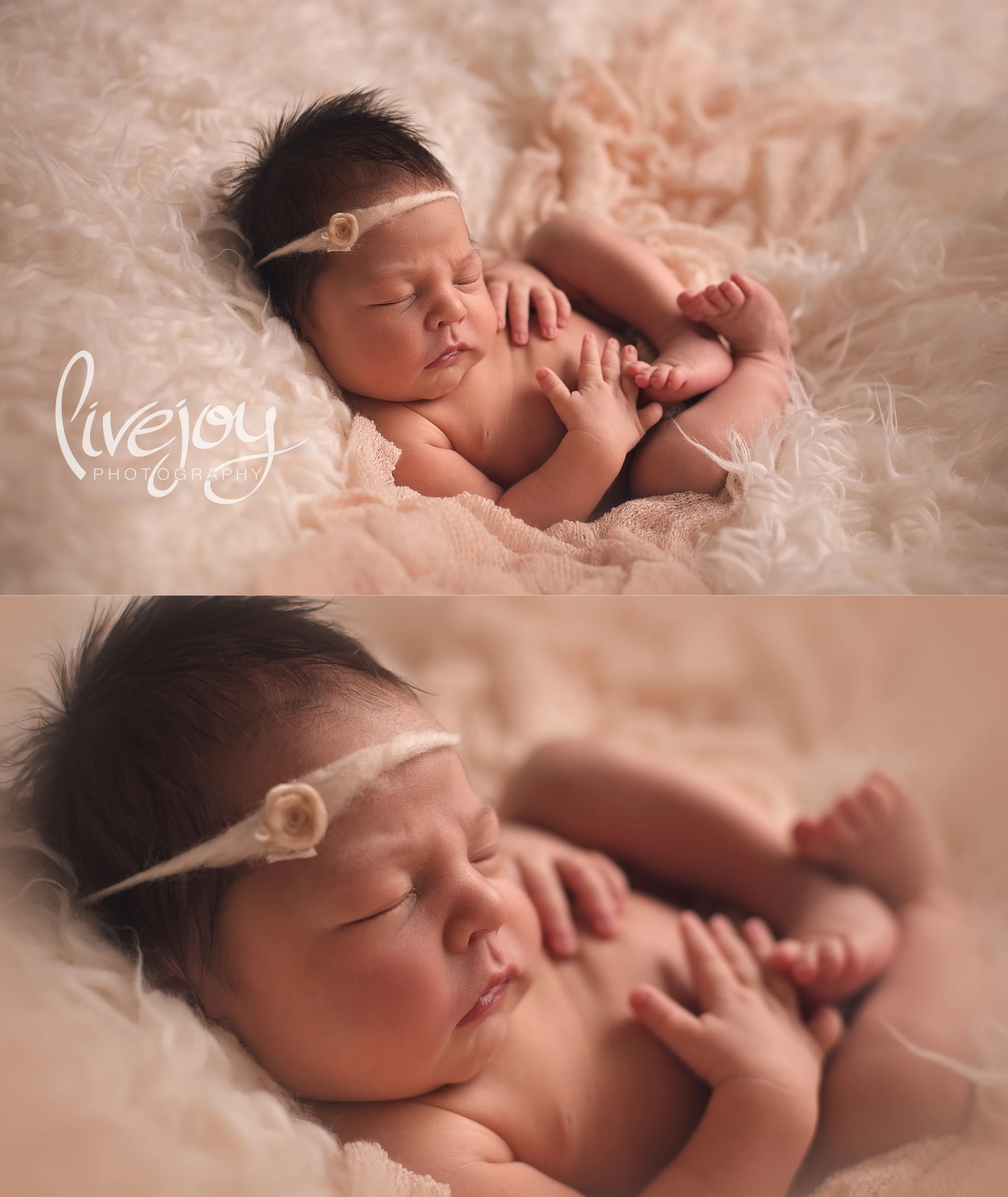 Newborn Photography | Salem, Oregon | LiveJoy Photography