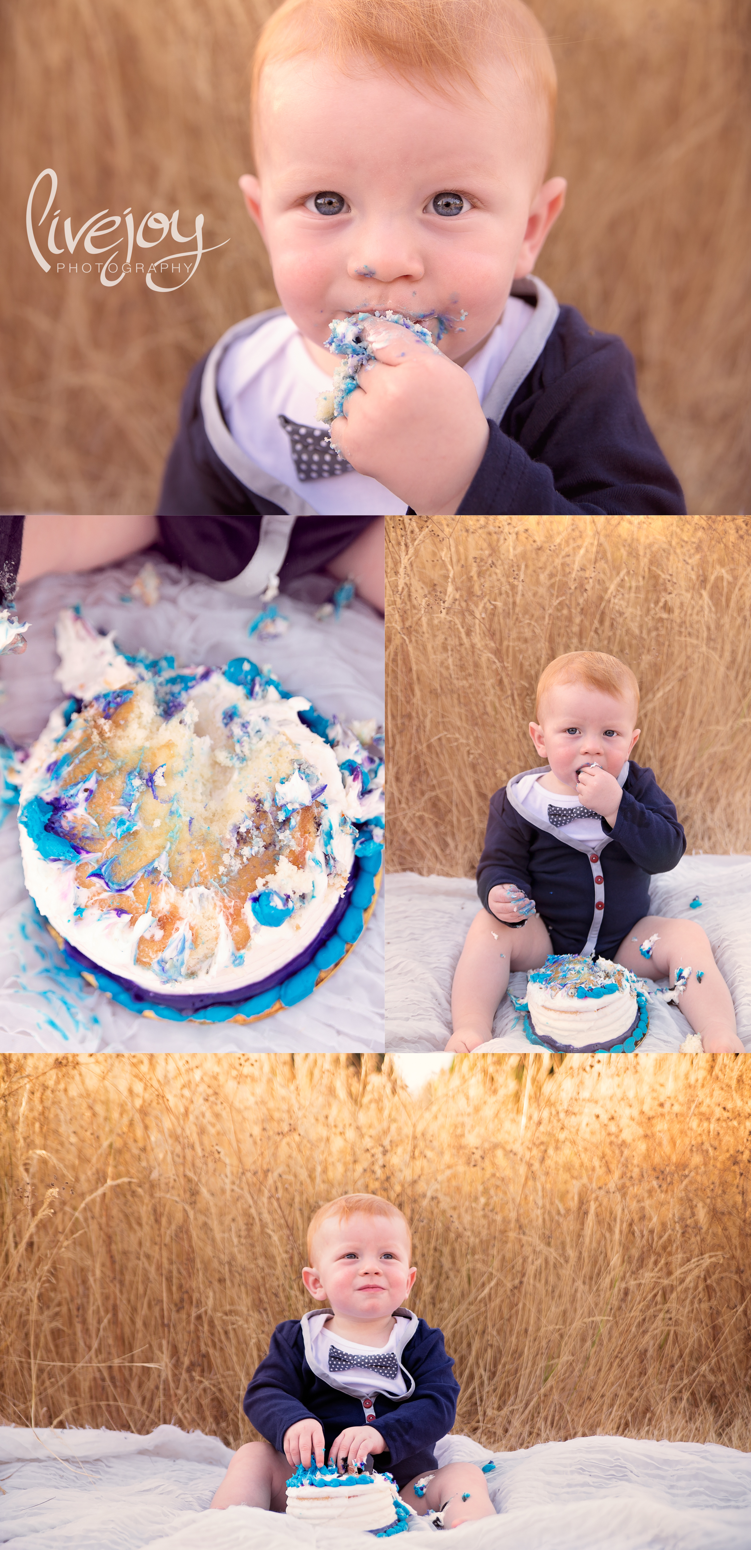 1 Year & Cake Smash | LiveJoy Photography | Oregon