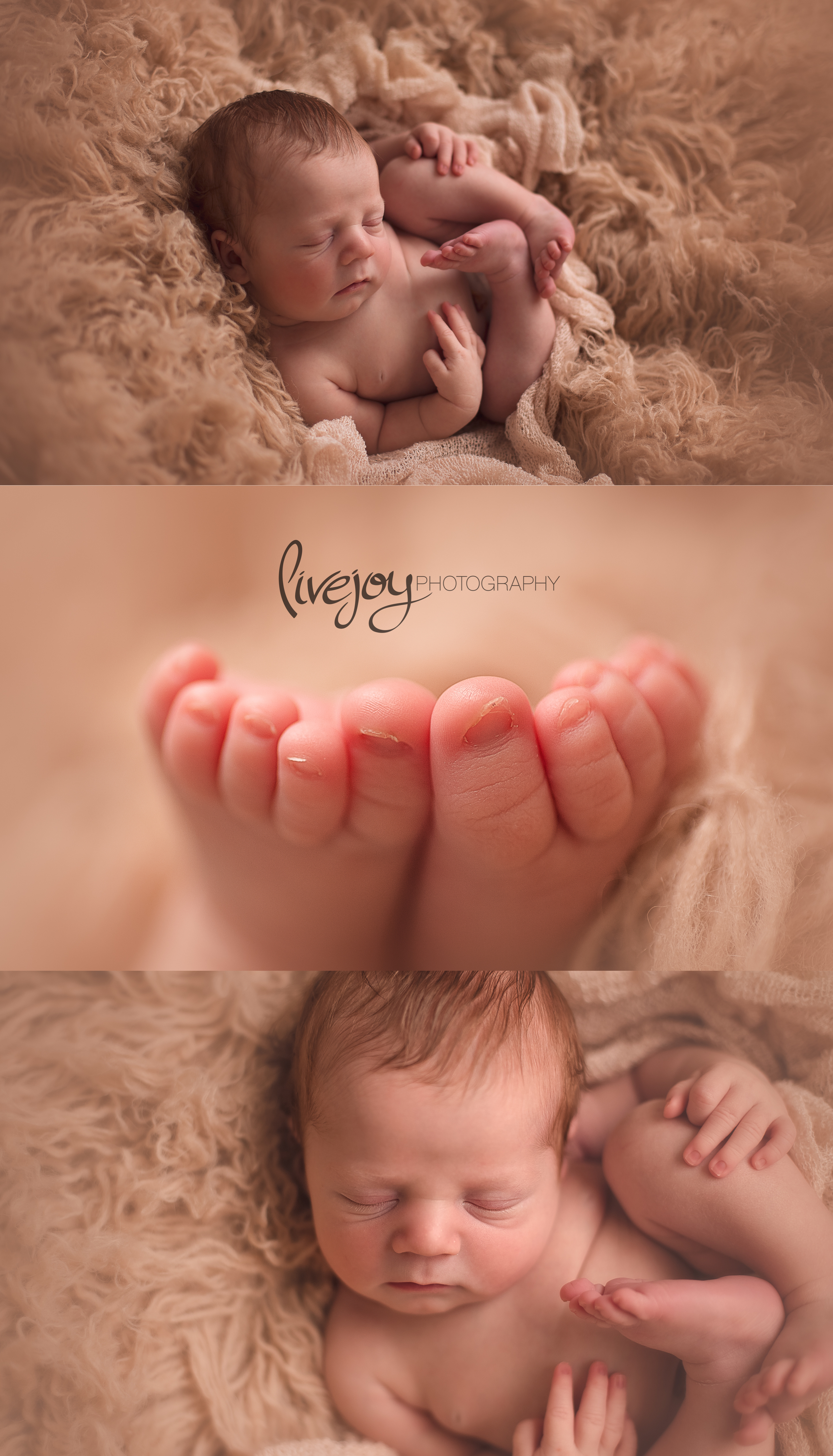Newborn Photography | Salem, Oregon | LiveJoy Photography 
