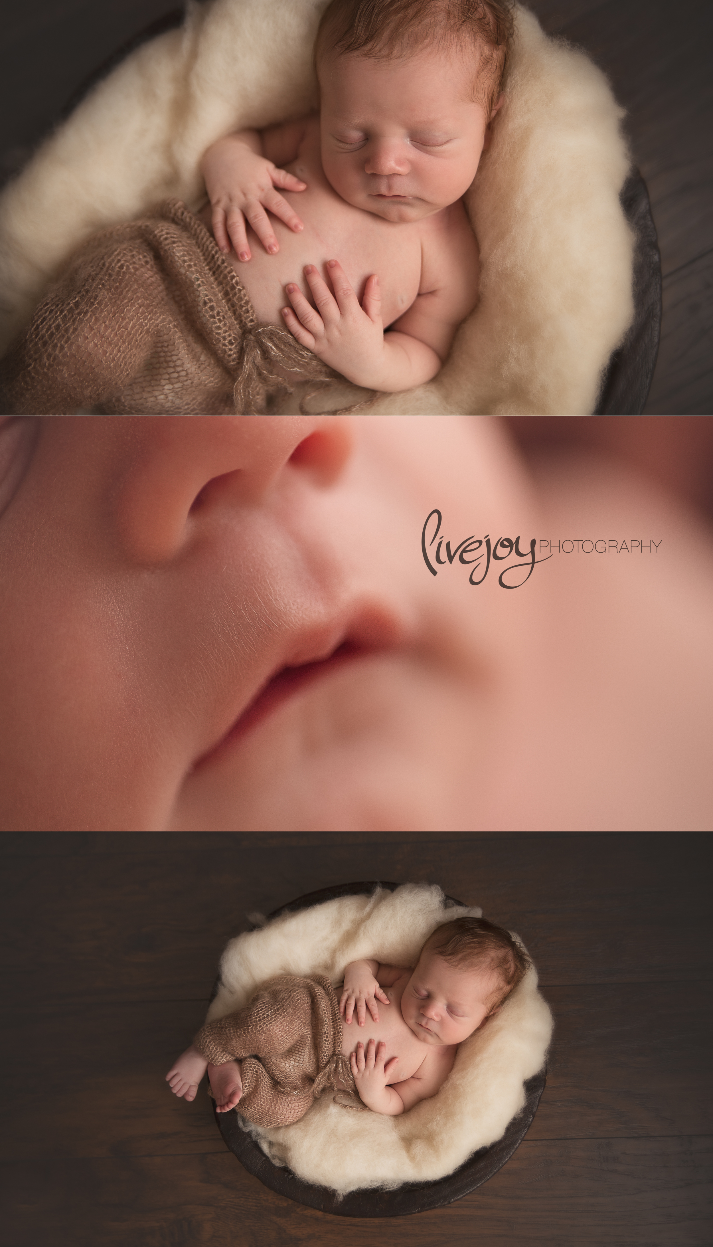 Newborn Photography | Salem, Oregon | LiveJoy Photography 