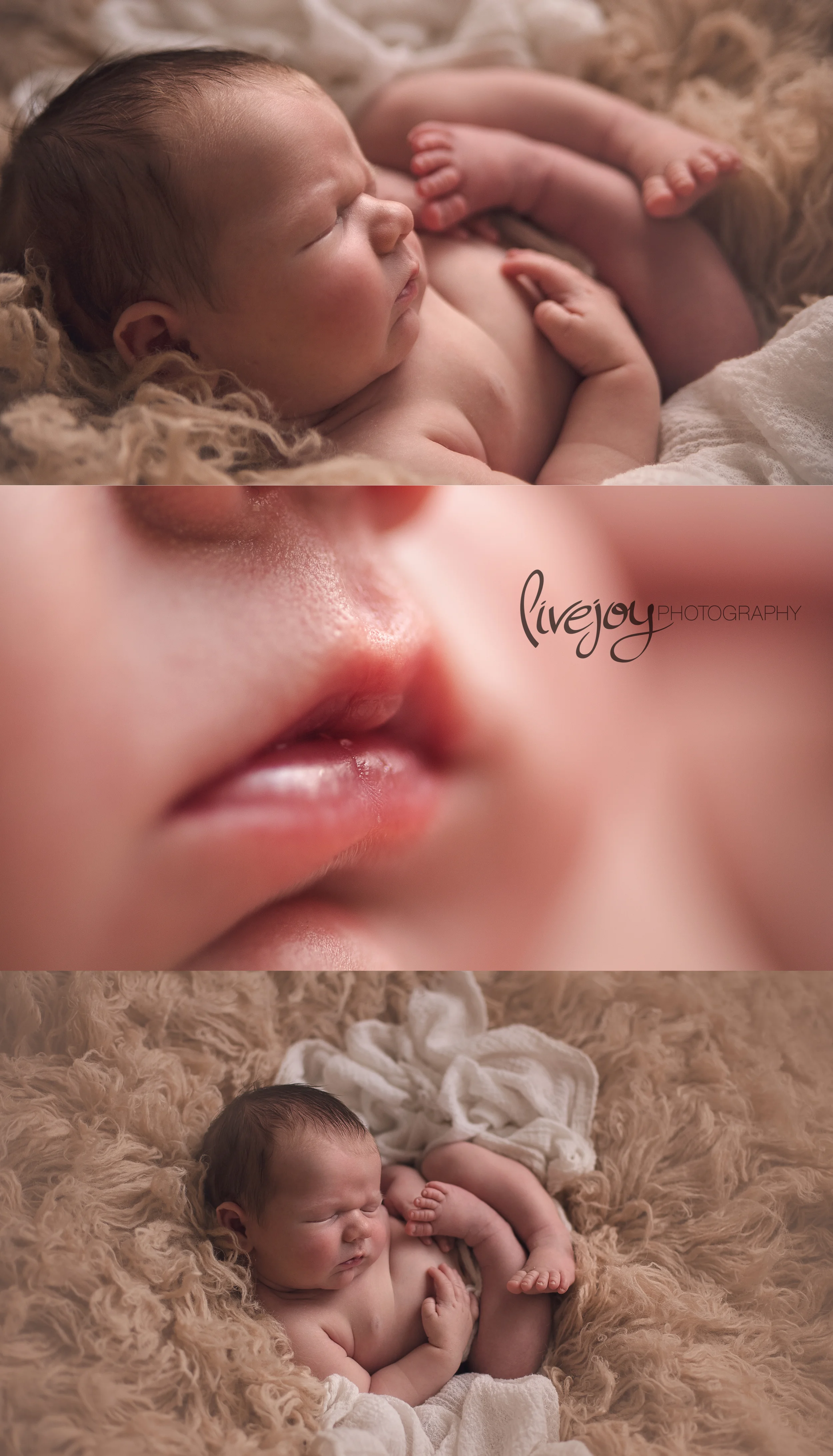 Newborn Photography | Salem, Oregon | LiveJoy Photography