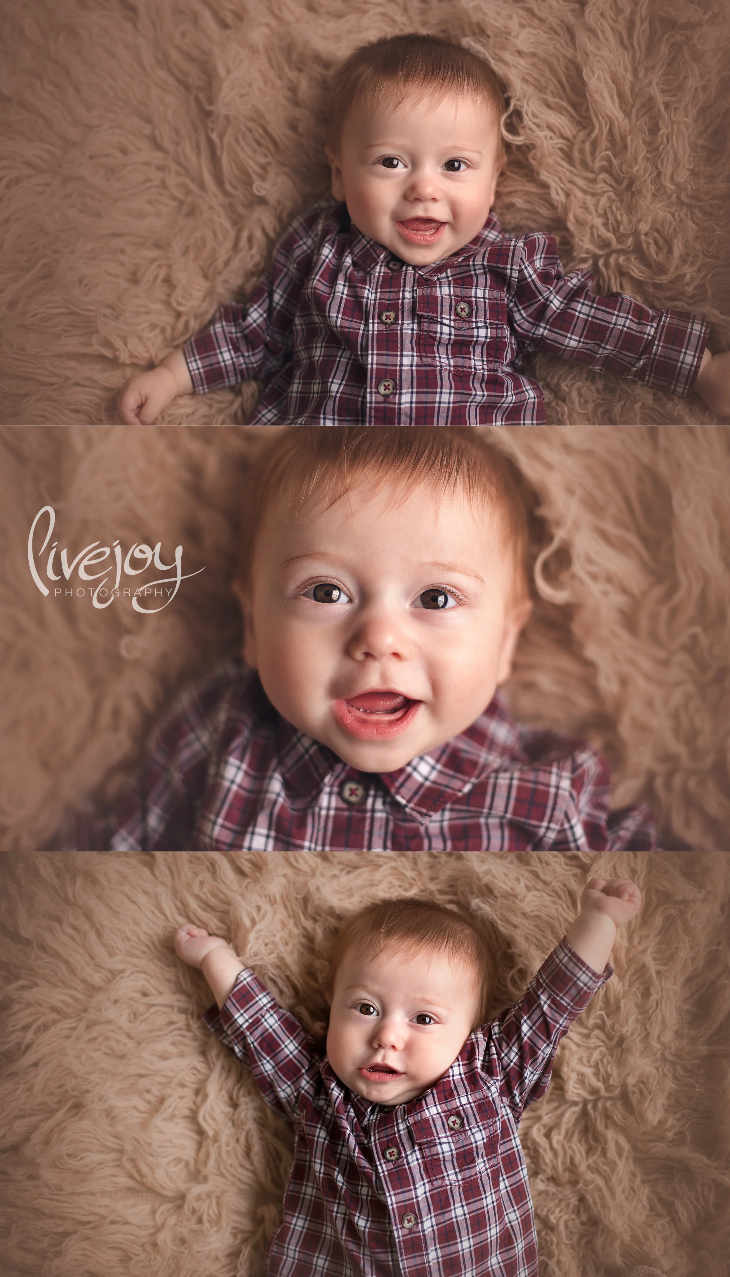 Baby Milestone | 6 Months Studio | LiveJoy Photography | Oregon