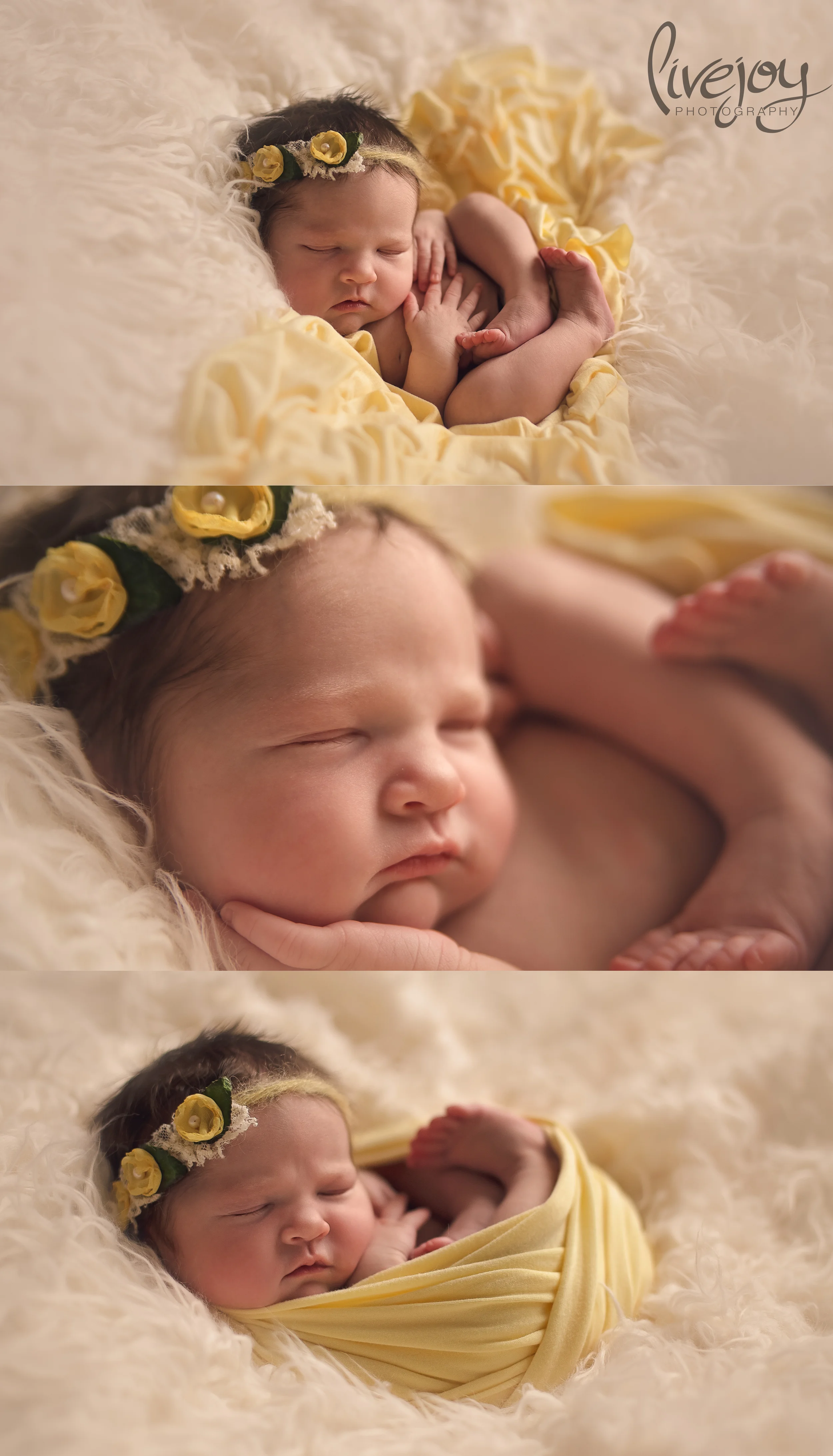 Newborn Photography | Oregon | LiveJoy Photography
