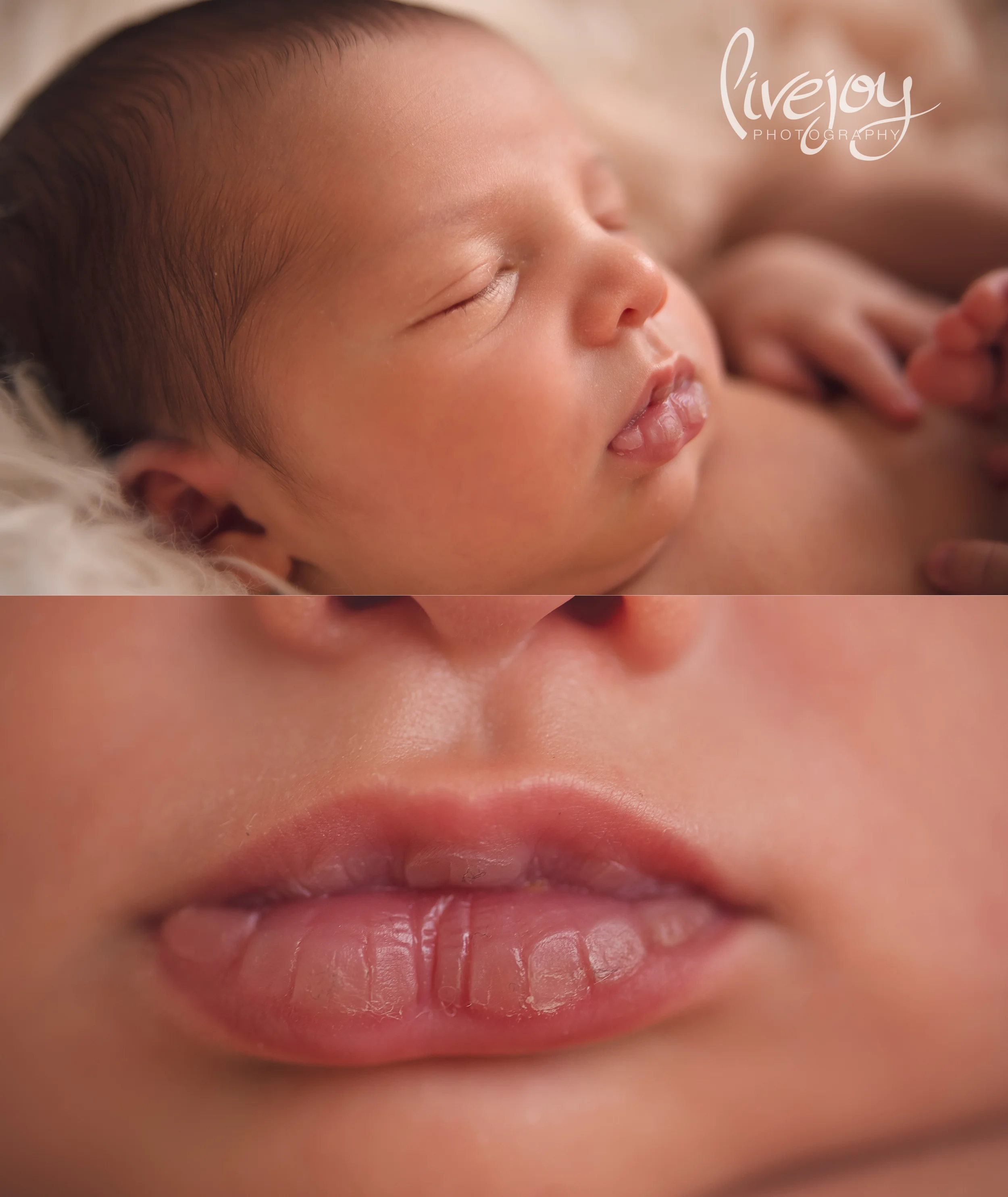Newborn Photography | Oregon | LiveJoy Photography