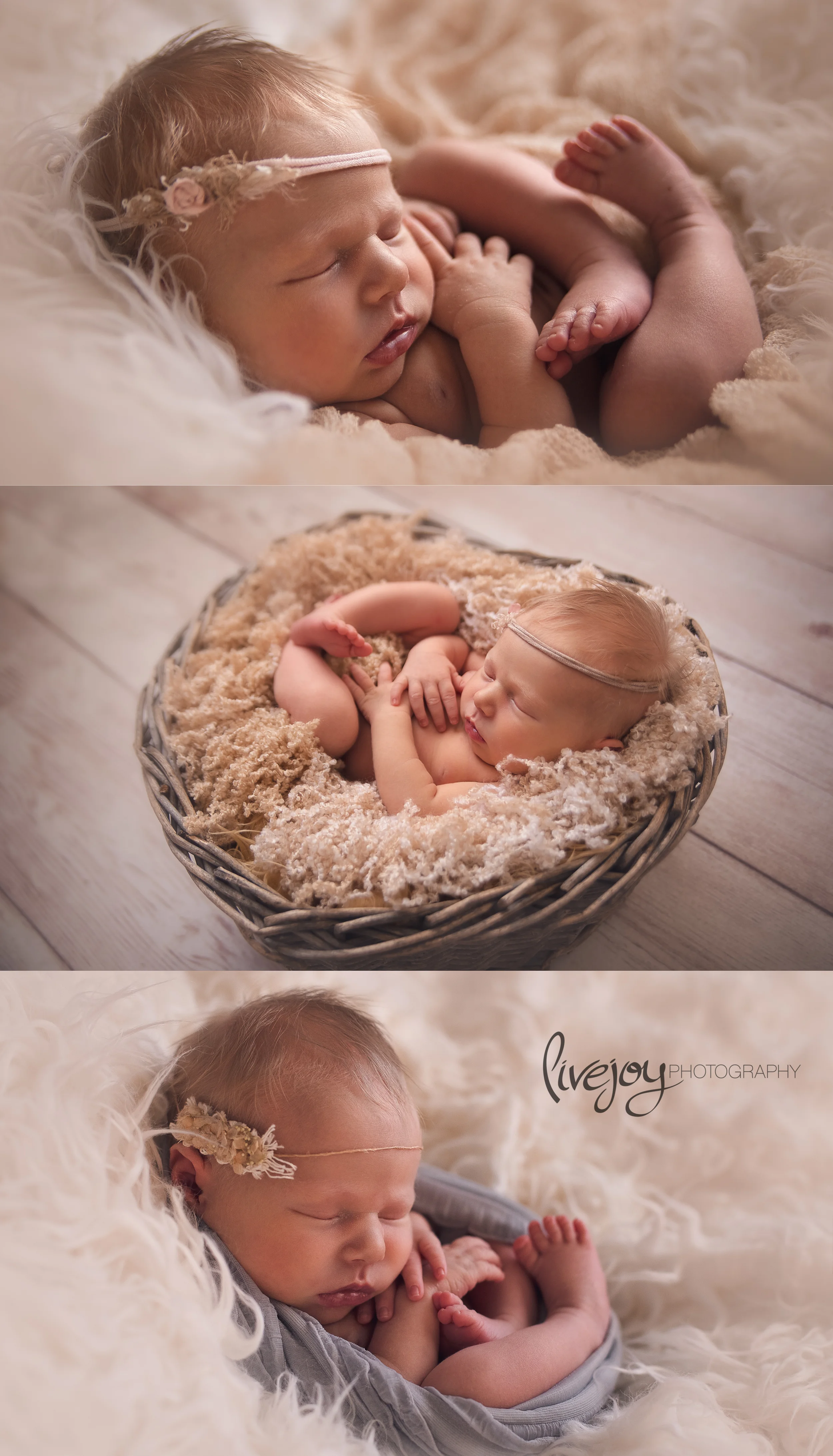 Newborn Photography | LiveJoy Photography | Oregon