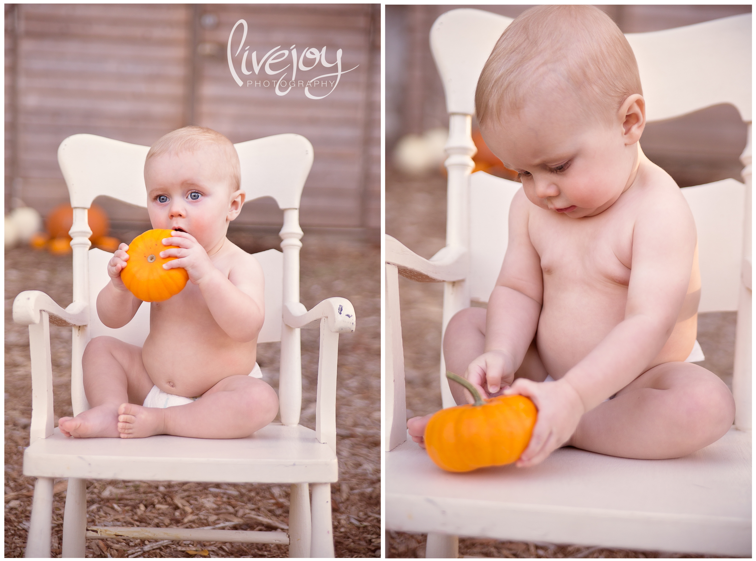 10 Months Baby Milestone | LiveJoy Photography | Oregon