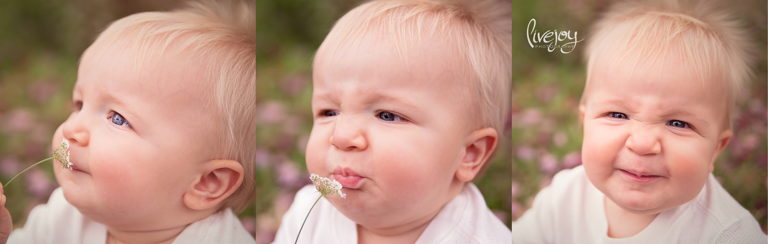 1 Year Baby Photography | LiveJoy Photography | Oregon