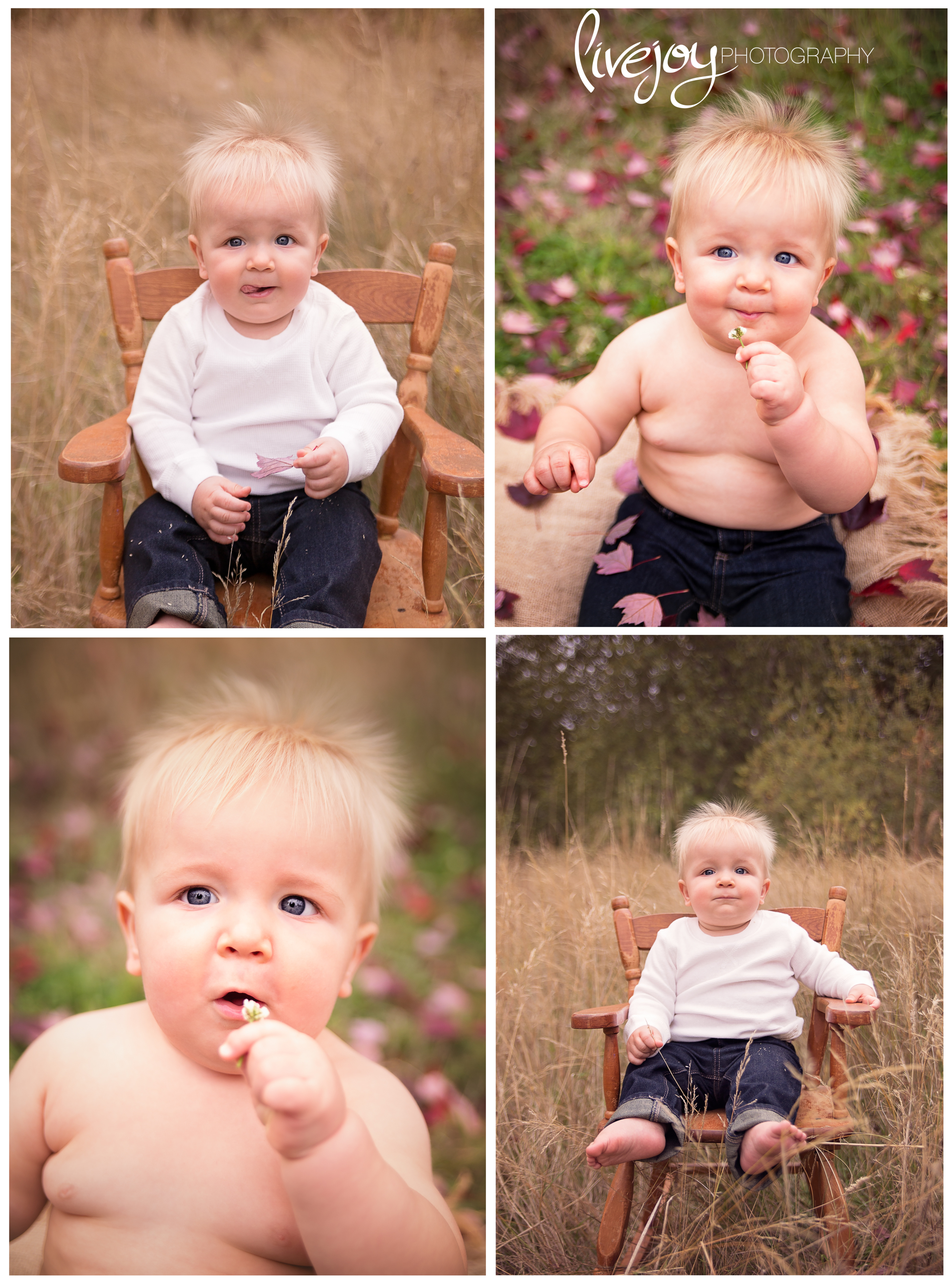 1 Year Baby Photography | LiveJoy Photography | Oregon