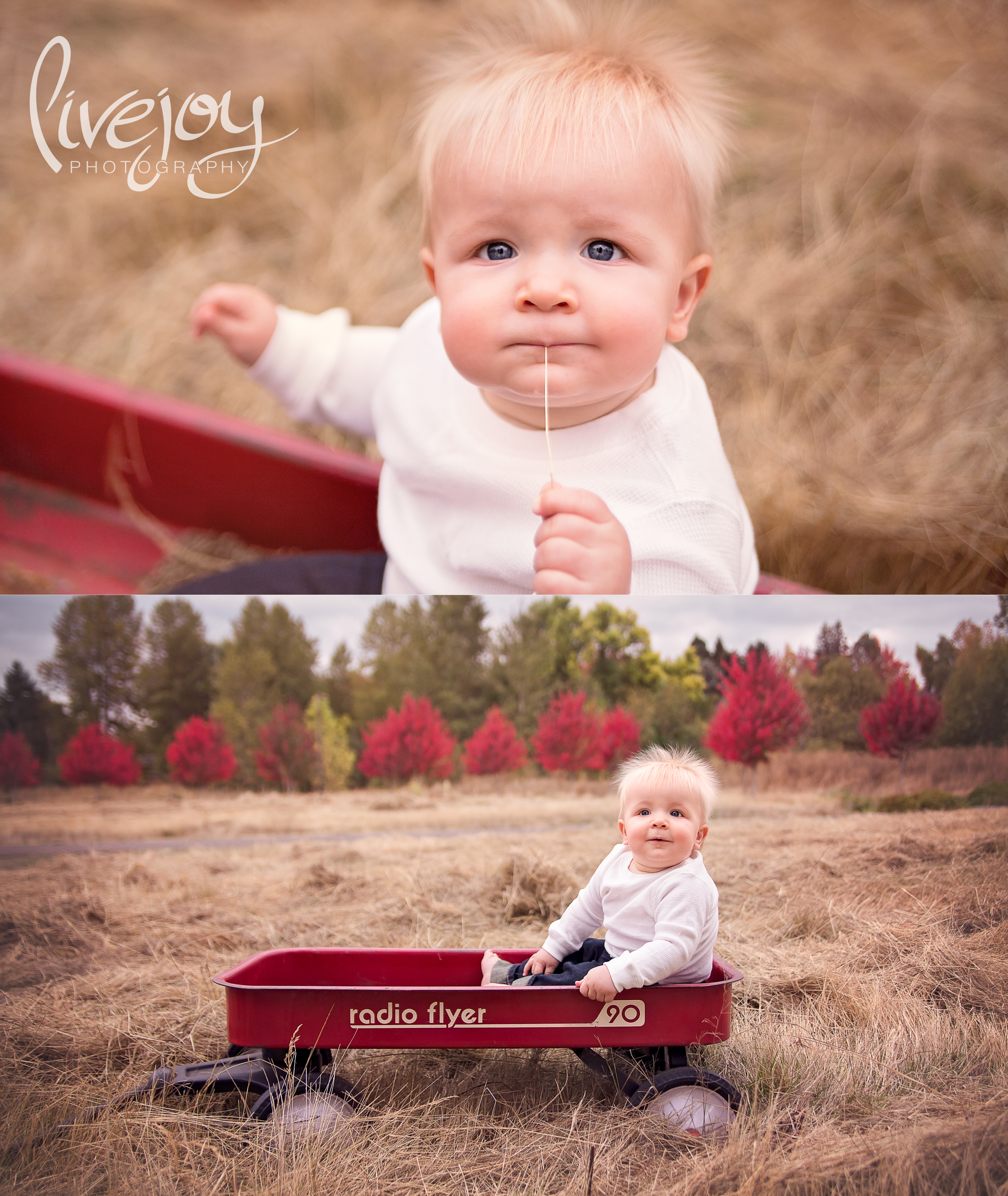 1 Year Baby Photography | LiveJoy Photography | Oregon