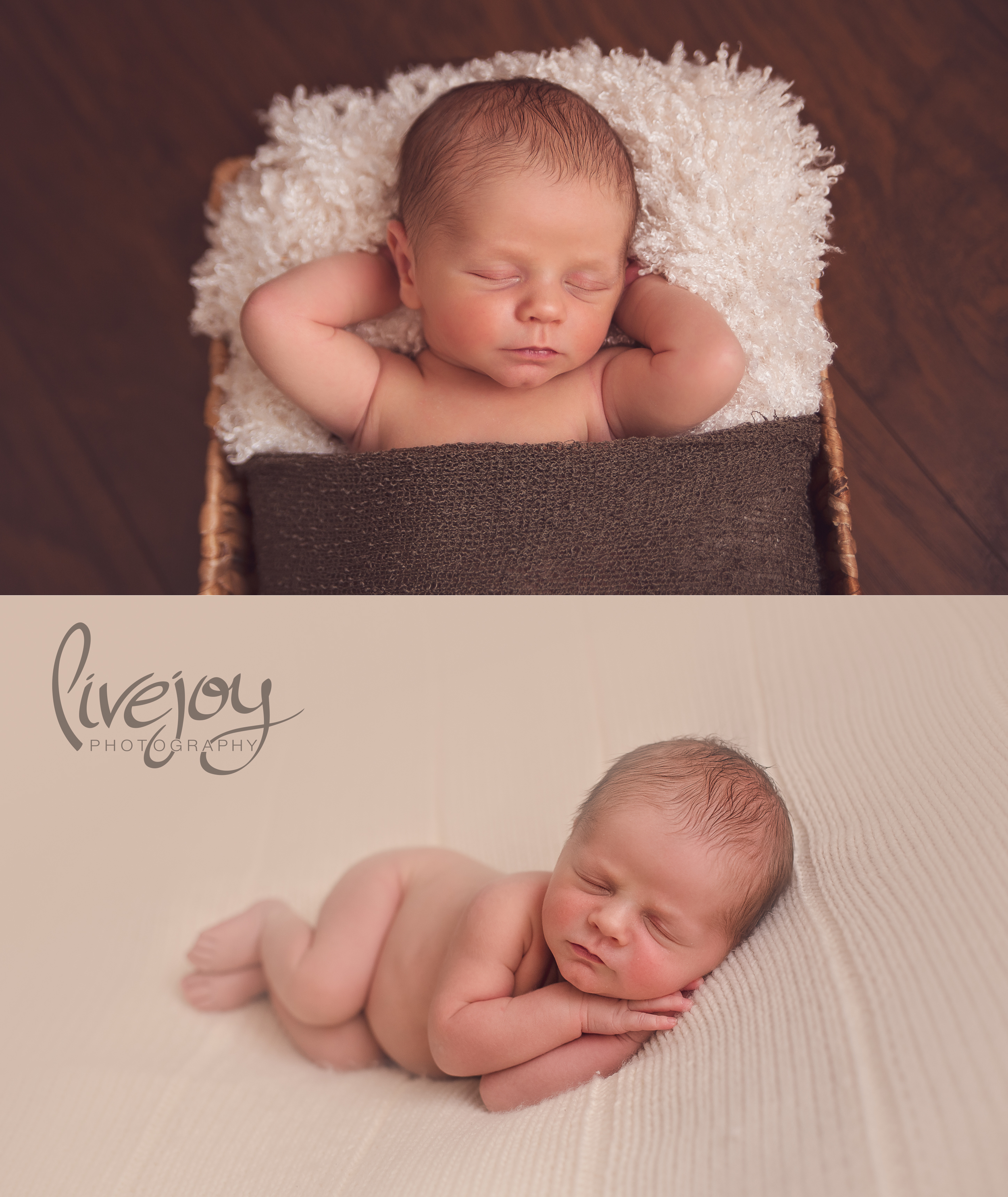 Newborn Photography | LiveJoy Photography | Oregon