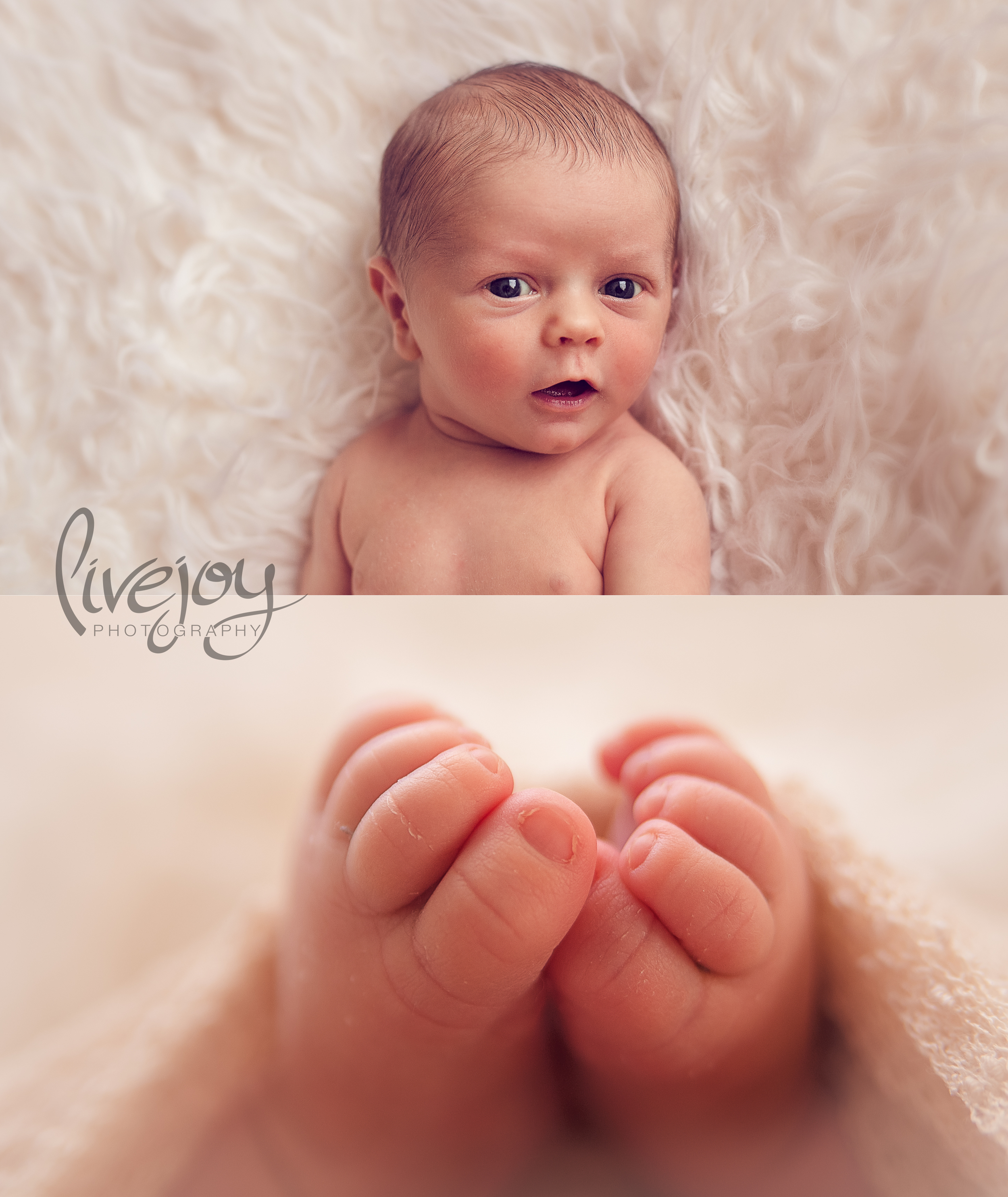 Newborn Photography | LiveJoy Photography | Oregon