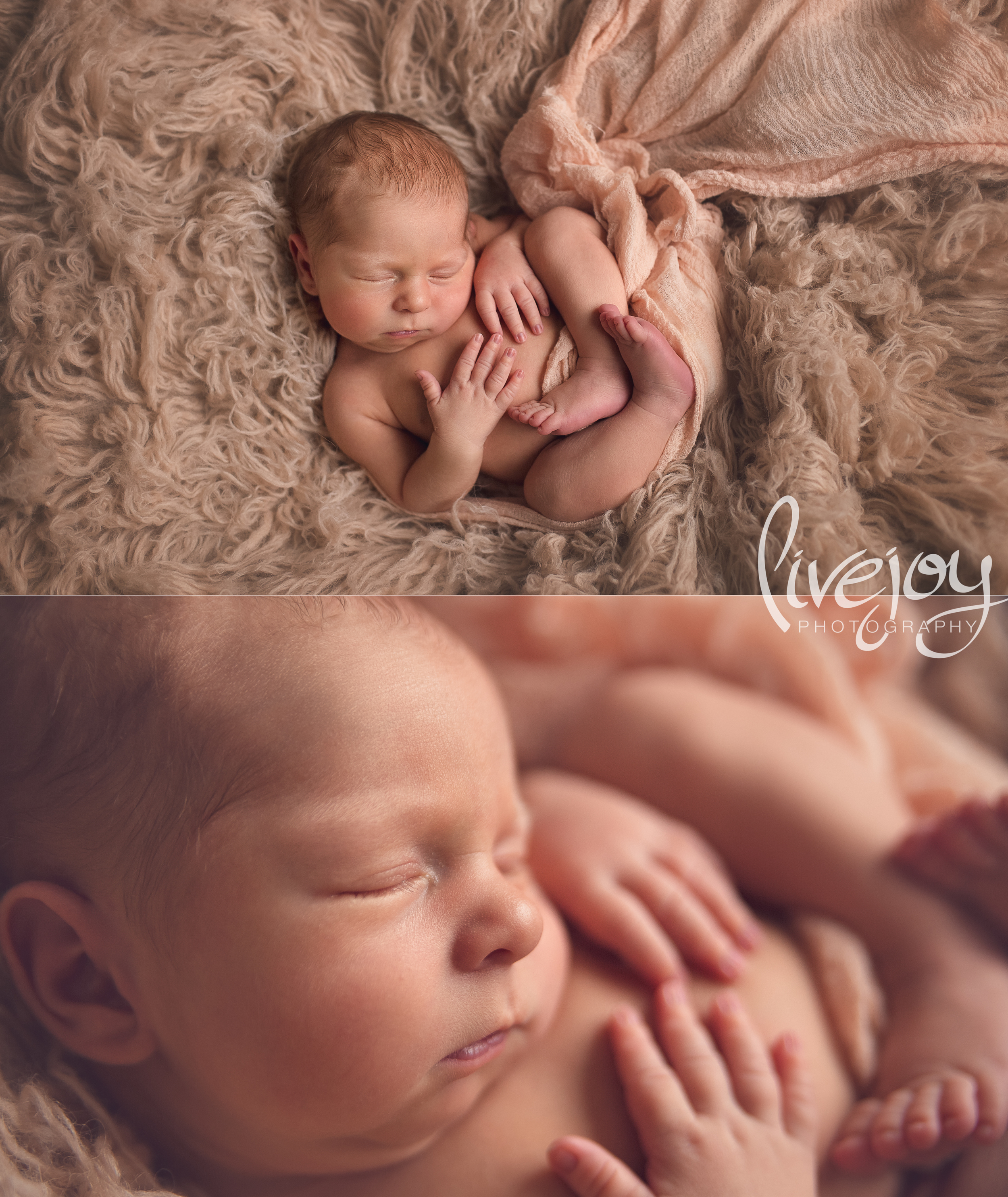 Newborn Photography | LiveJoy Photography | Oregon