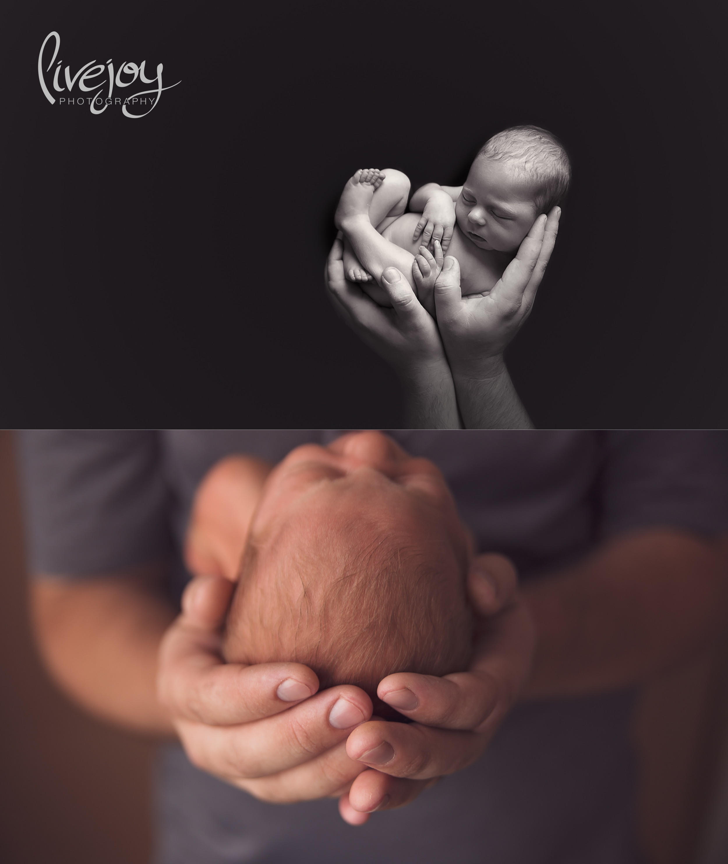 Newborn Photography | LiveJoy Photography | Oregon