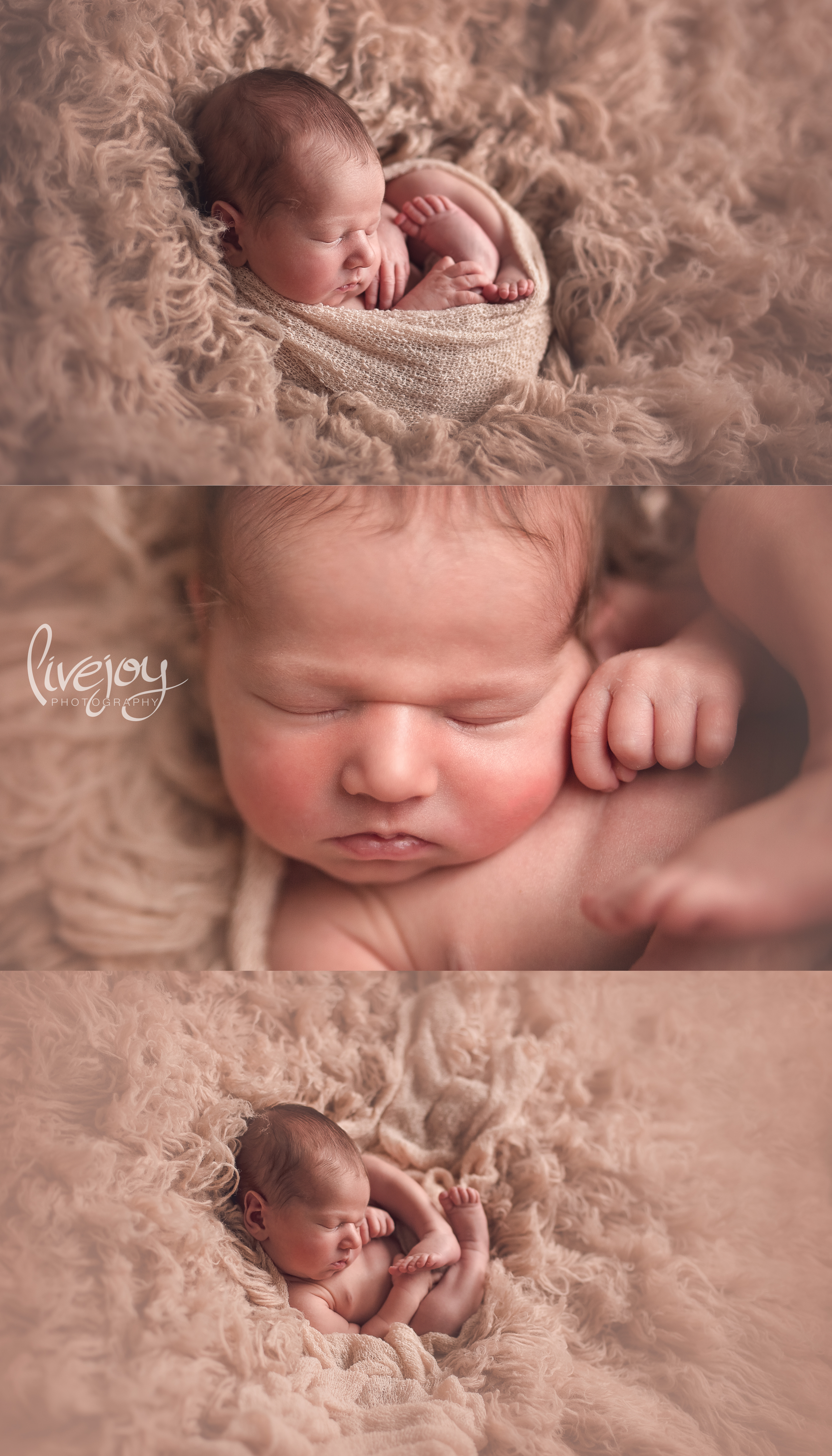 Newborn Photography | LiveJoy Photography | Oregon