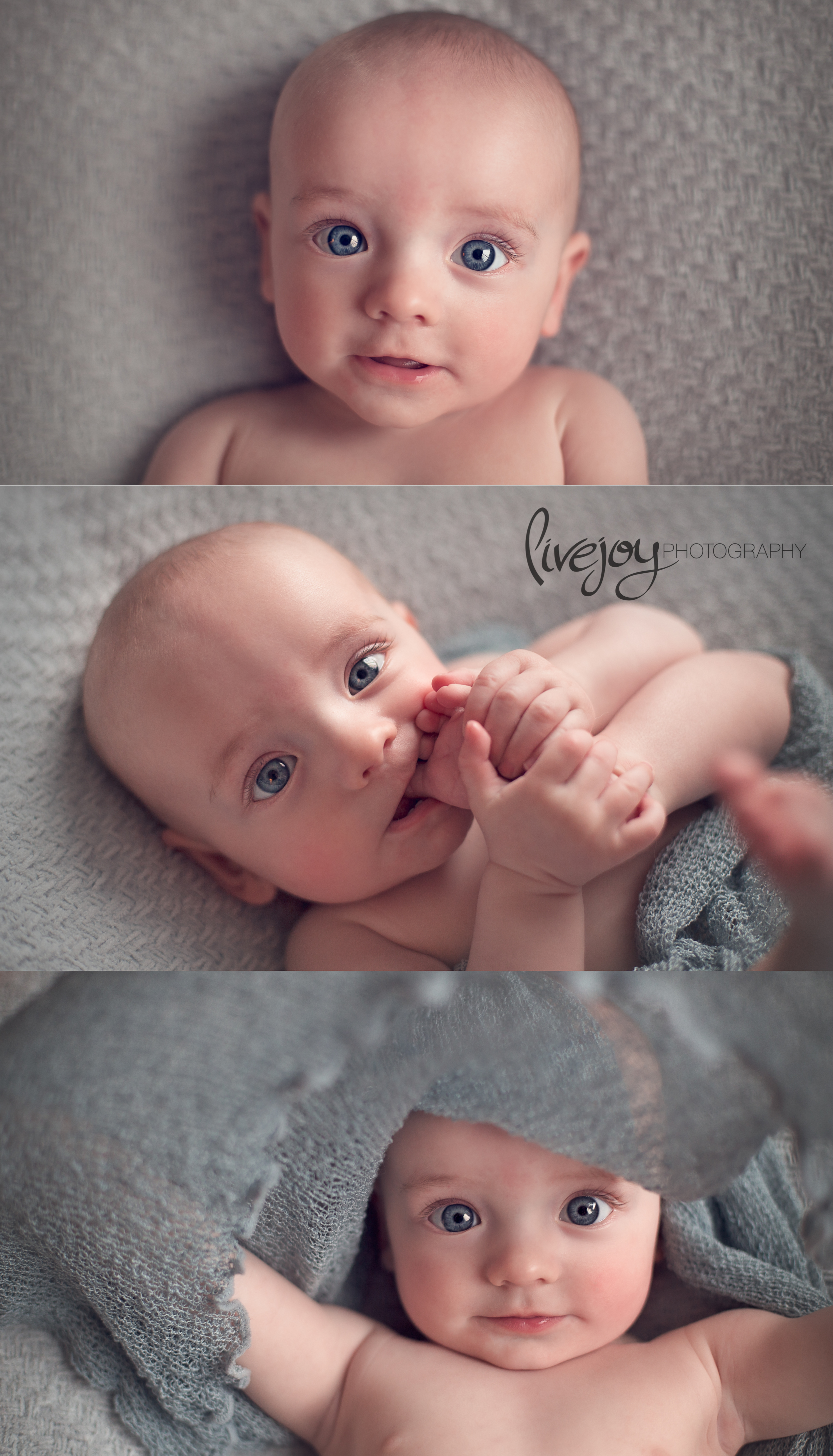 6 Month Baby Milestone Session | LiveJoy Photography | Oregon