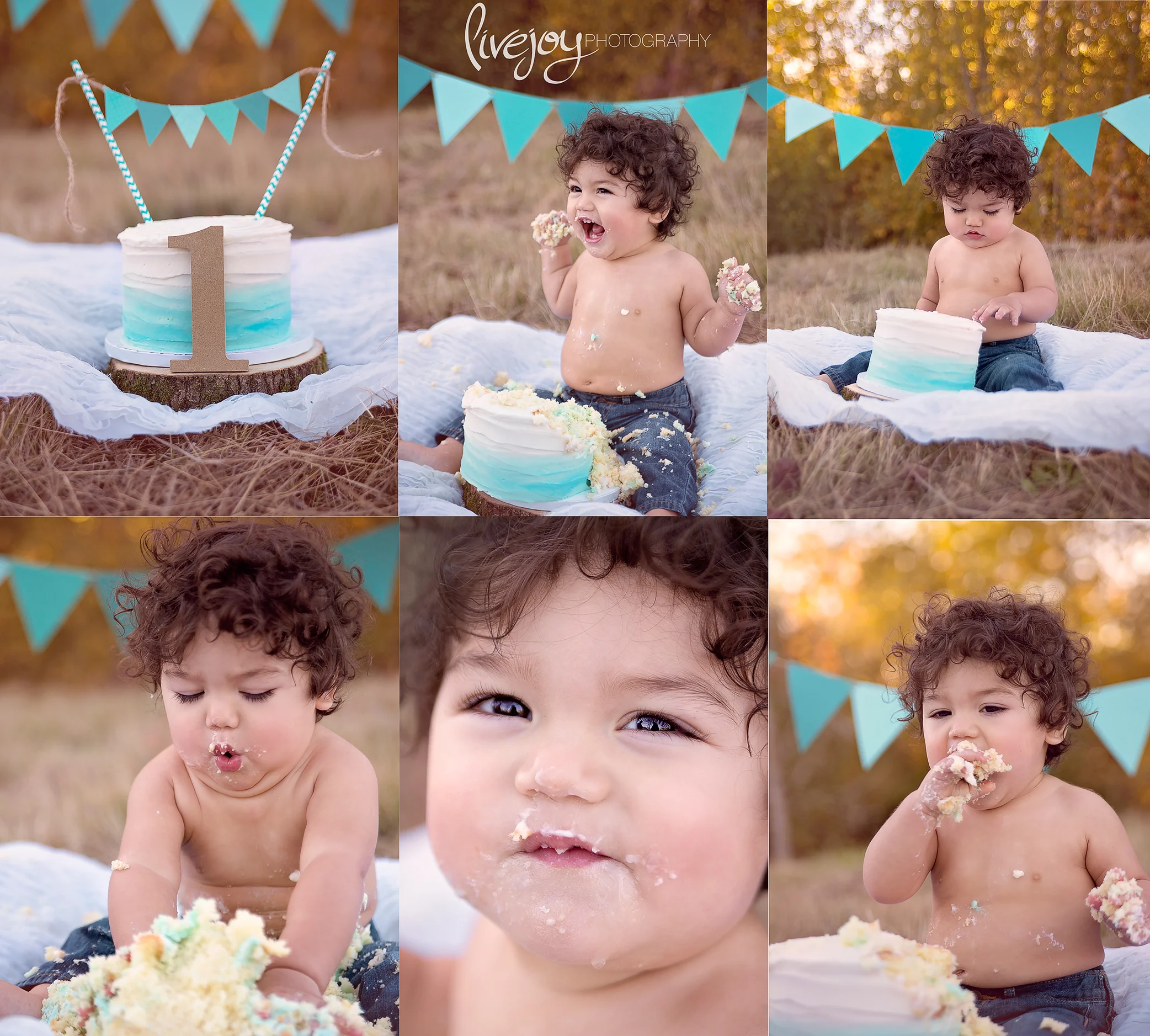 One Year Baby Photography | Cake Smash | LiveJoy Photography | Oregon
