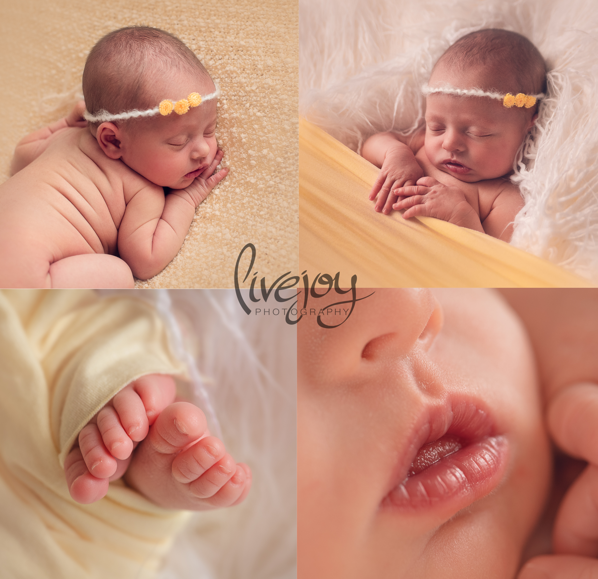 Newborn Photography | LiveJoy Photography yellow | Oregon