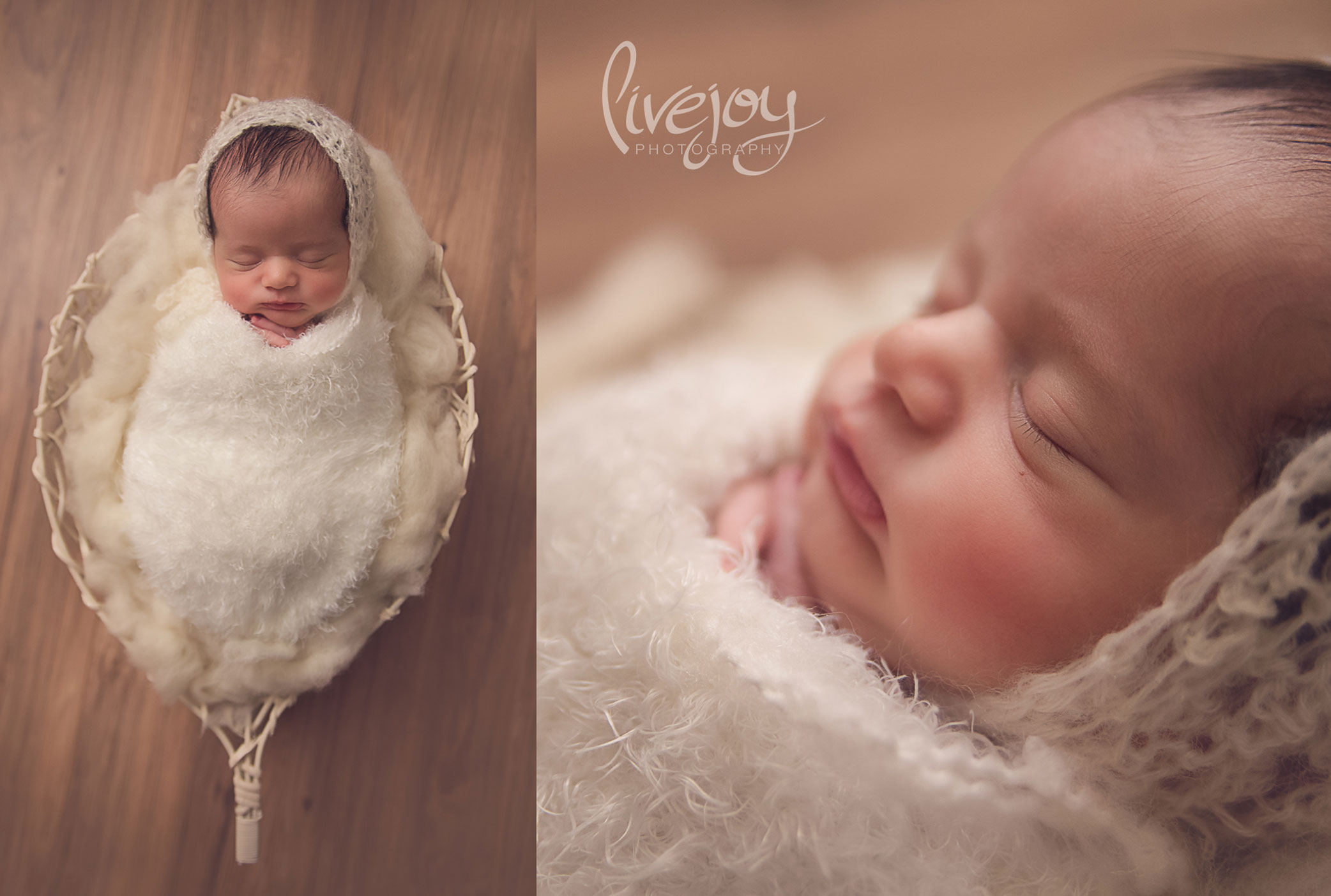 Newborn Photography - LiveJoy Photography - Oregon