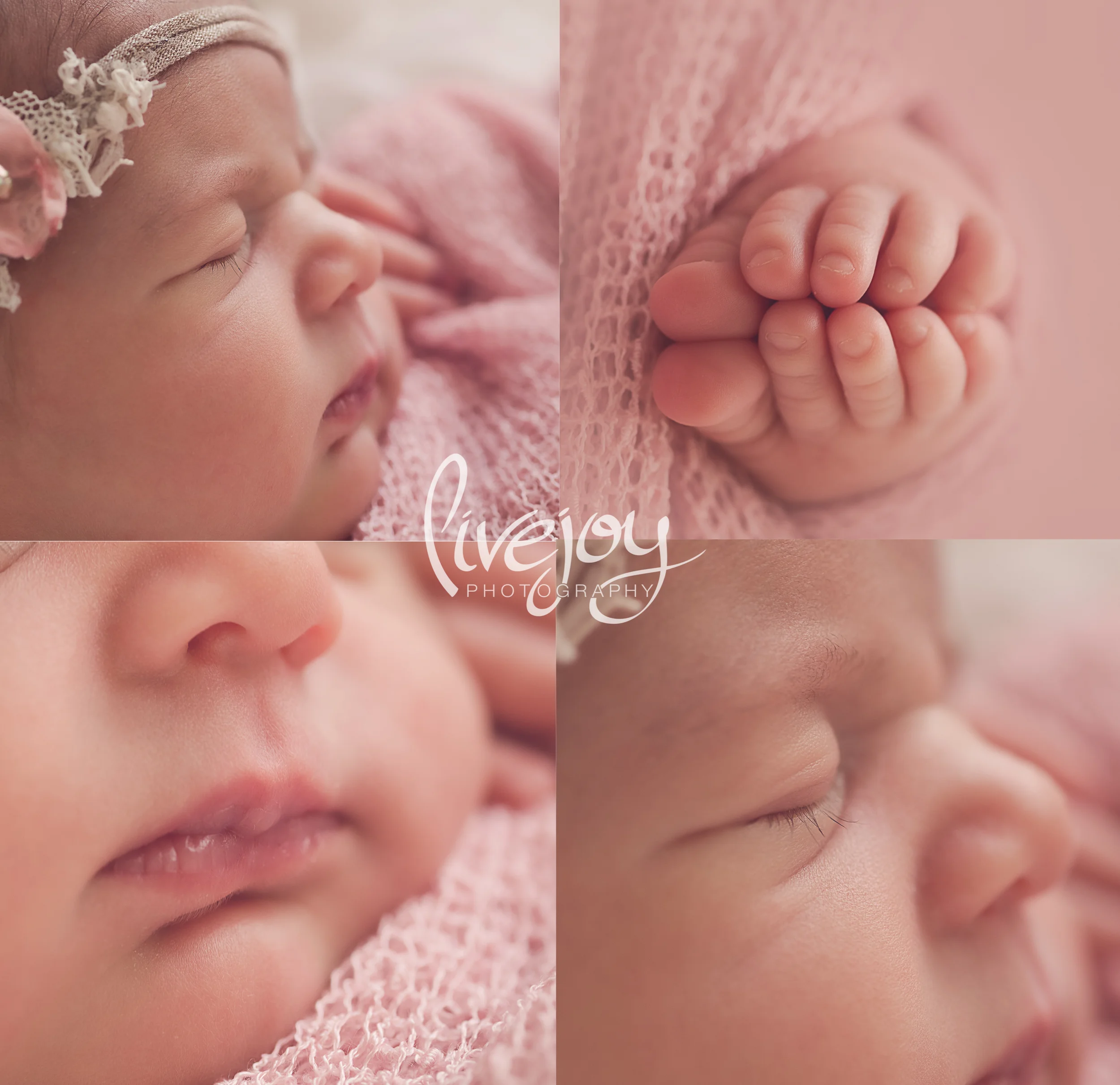 Newborn Photography - LiveJoy Photography - Oregon