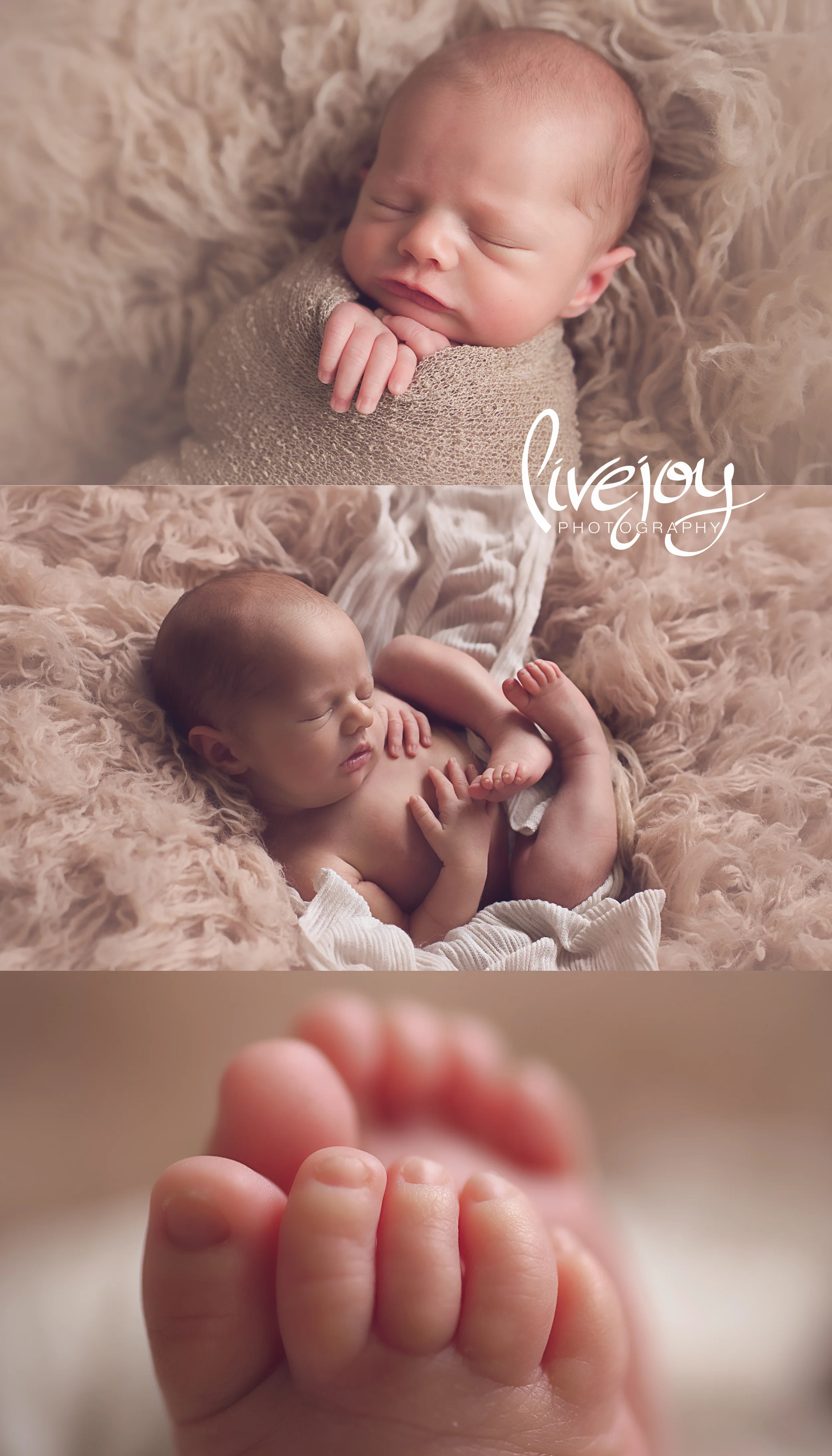 Newborn Photography - LiveJoy Photography - Oregon