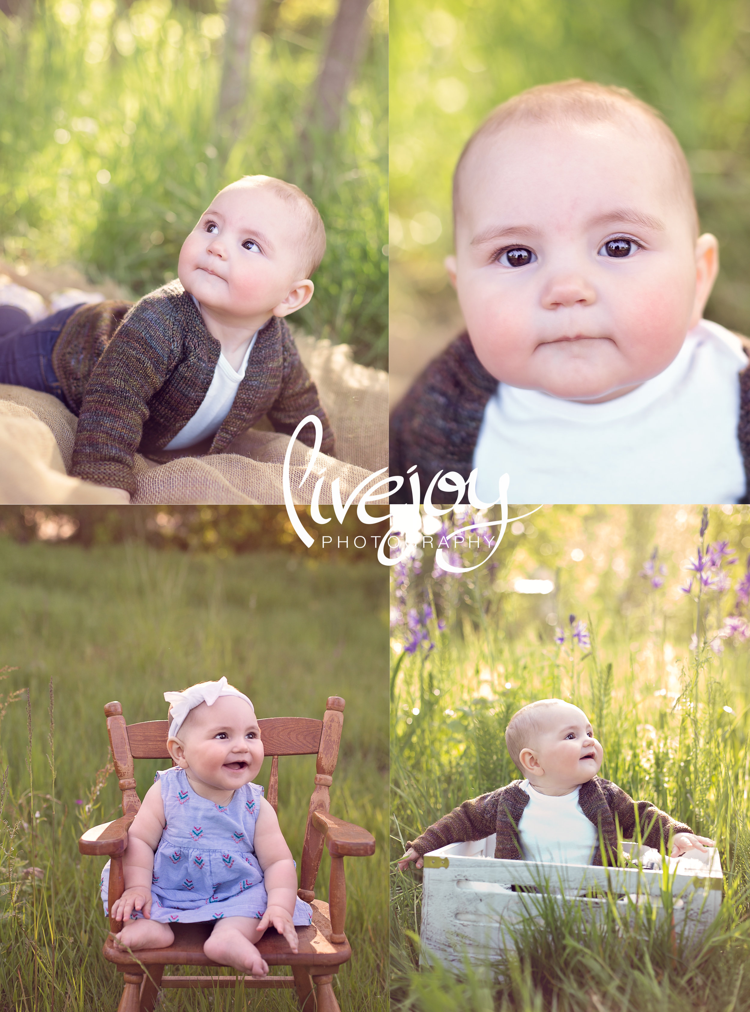 6 Months Baby Photography - LiveJoy Photography - Oregon
