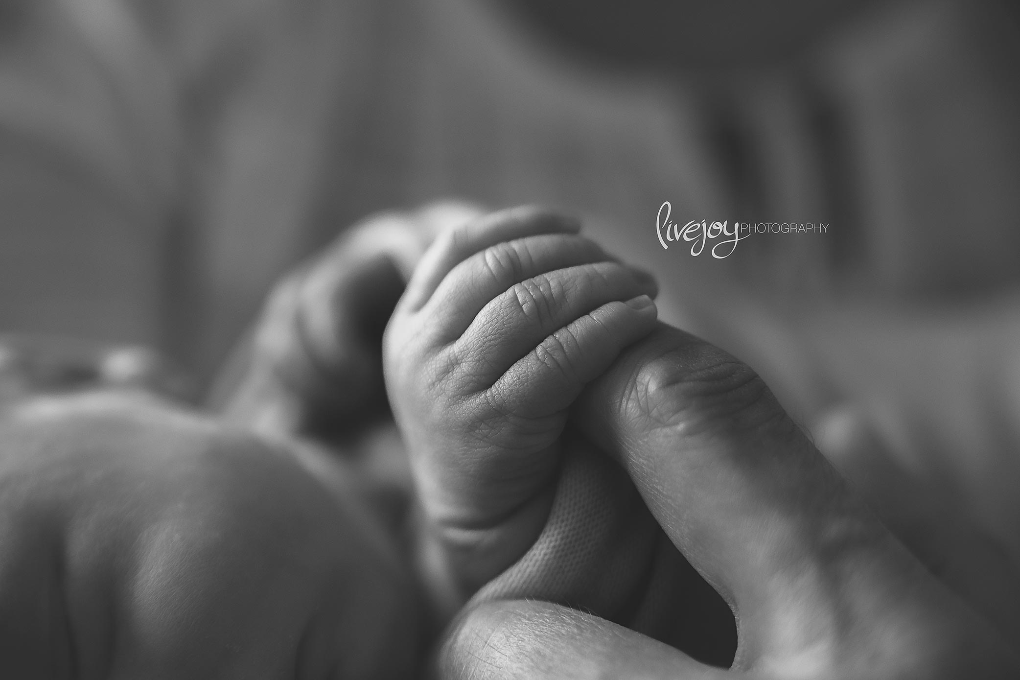 Newborn Photography | Oregon | LiveJoy Photography