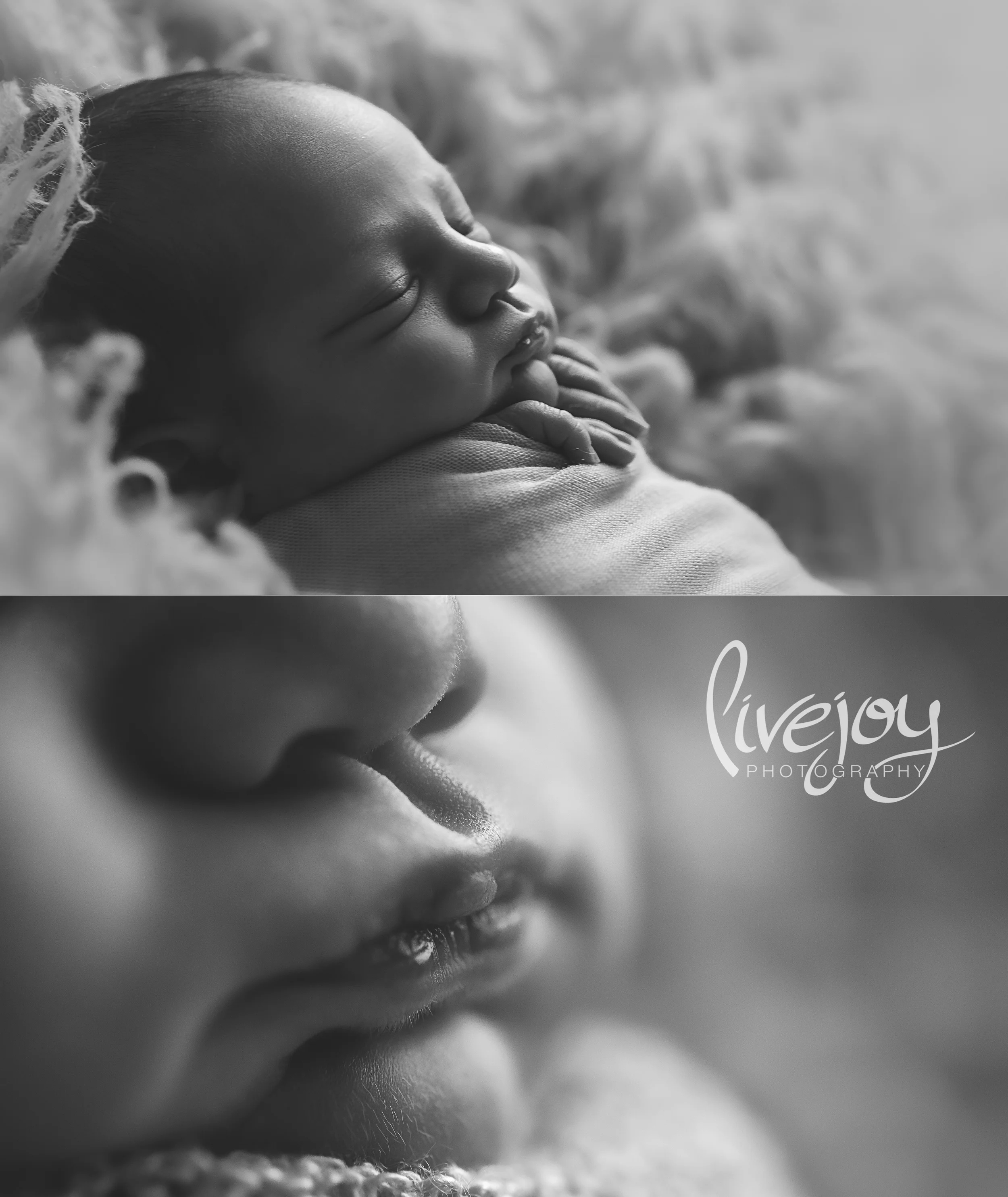 Newborn Photography | Oregon | LiveJoy Photography