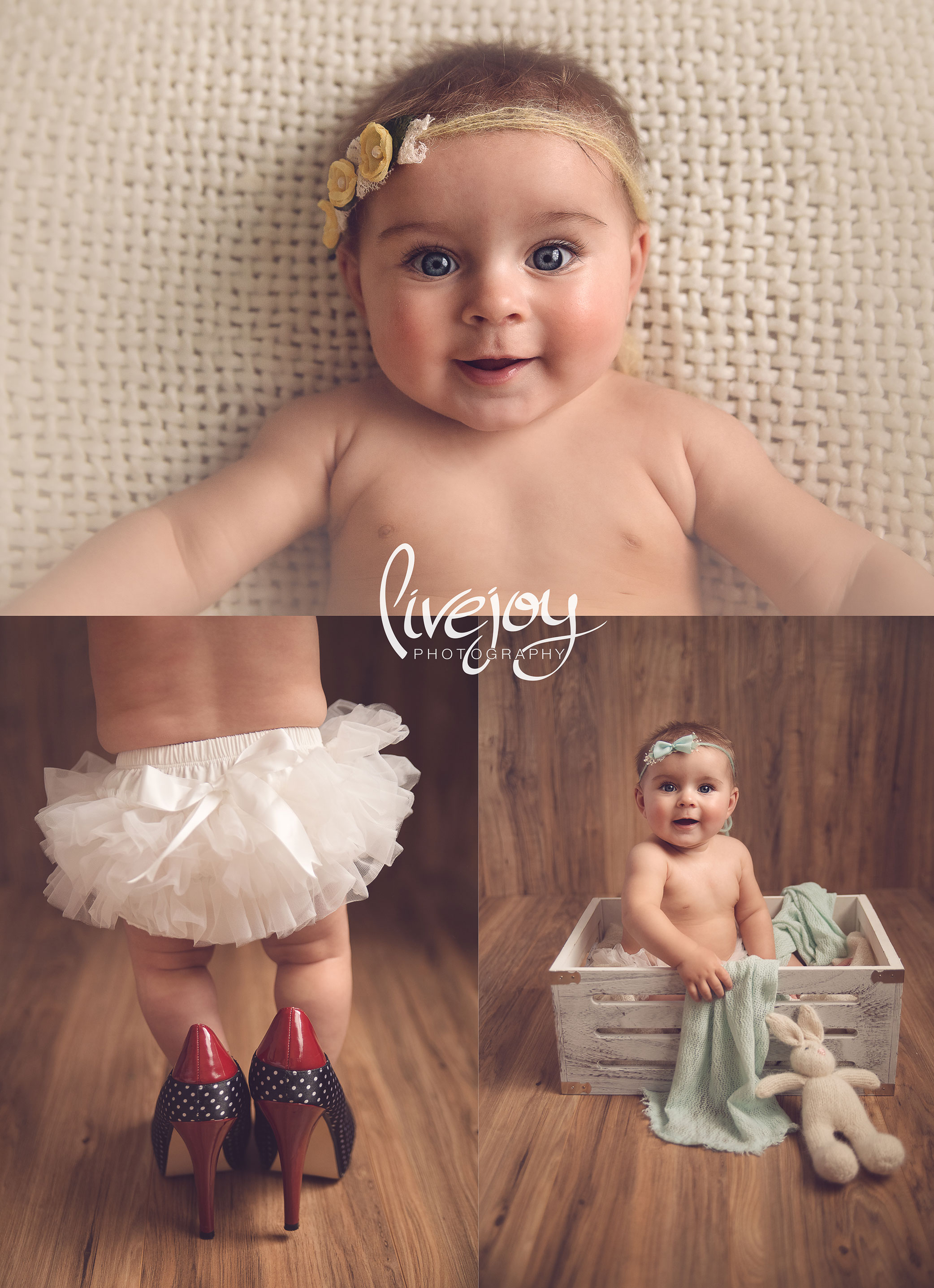 Six Month Photos Studio - Oregon | LiveJoy Photography 