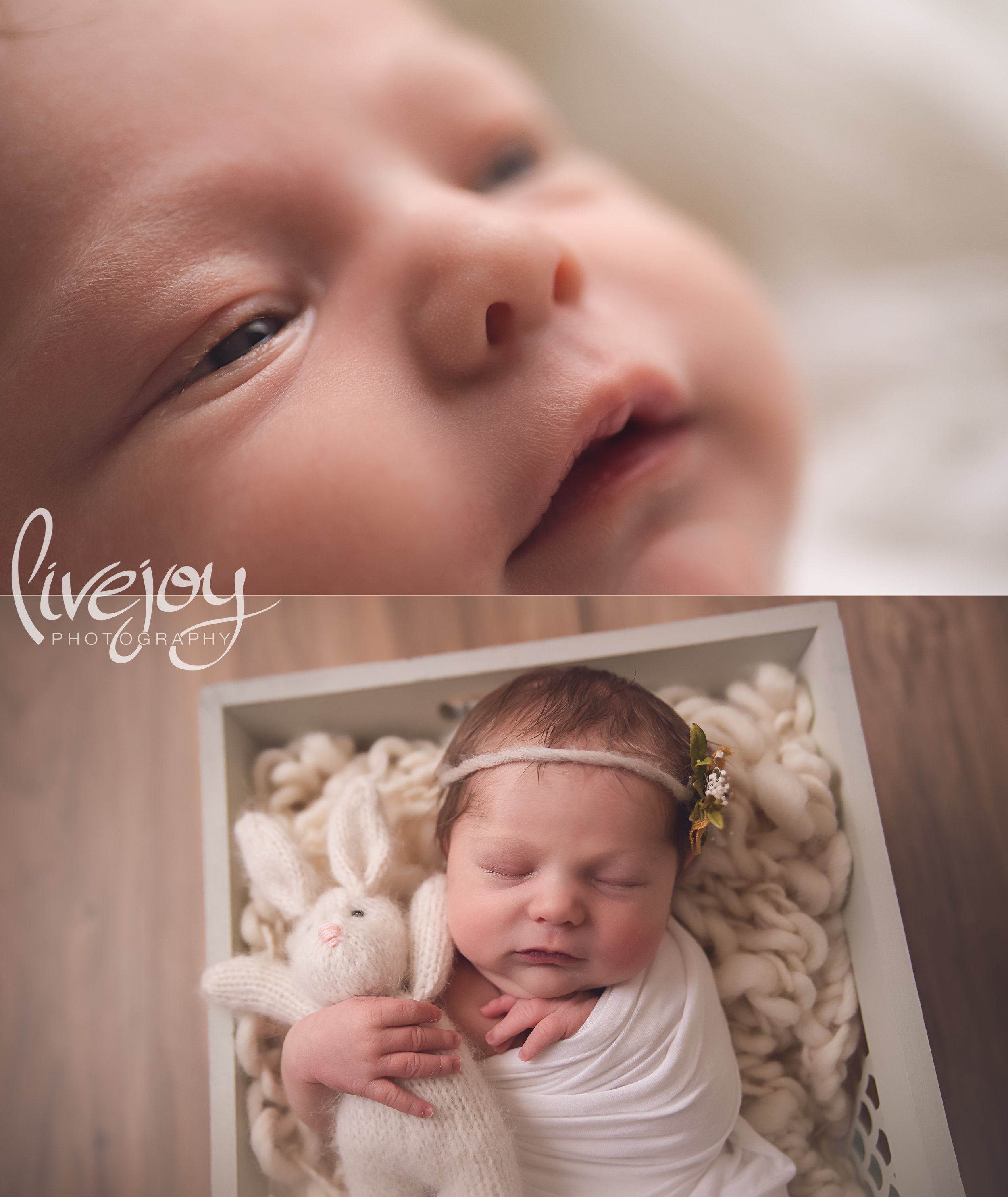 Newborn Photography | LiveJoy Photography | Oregon