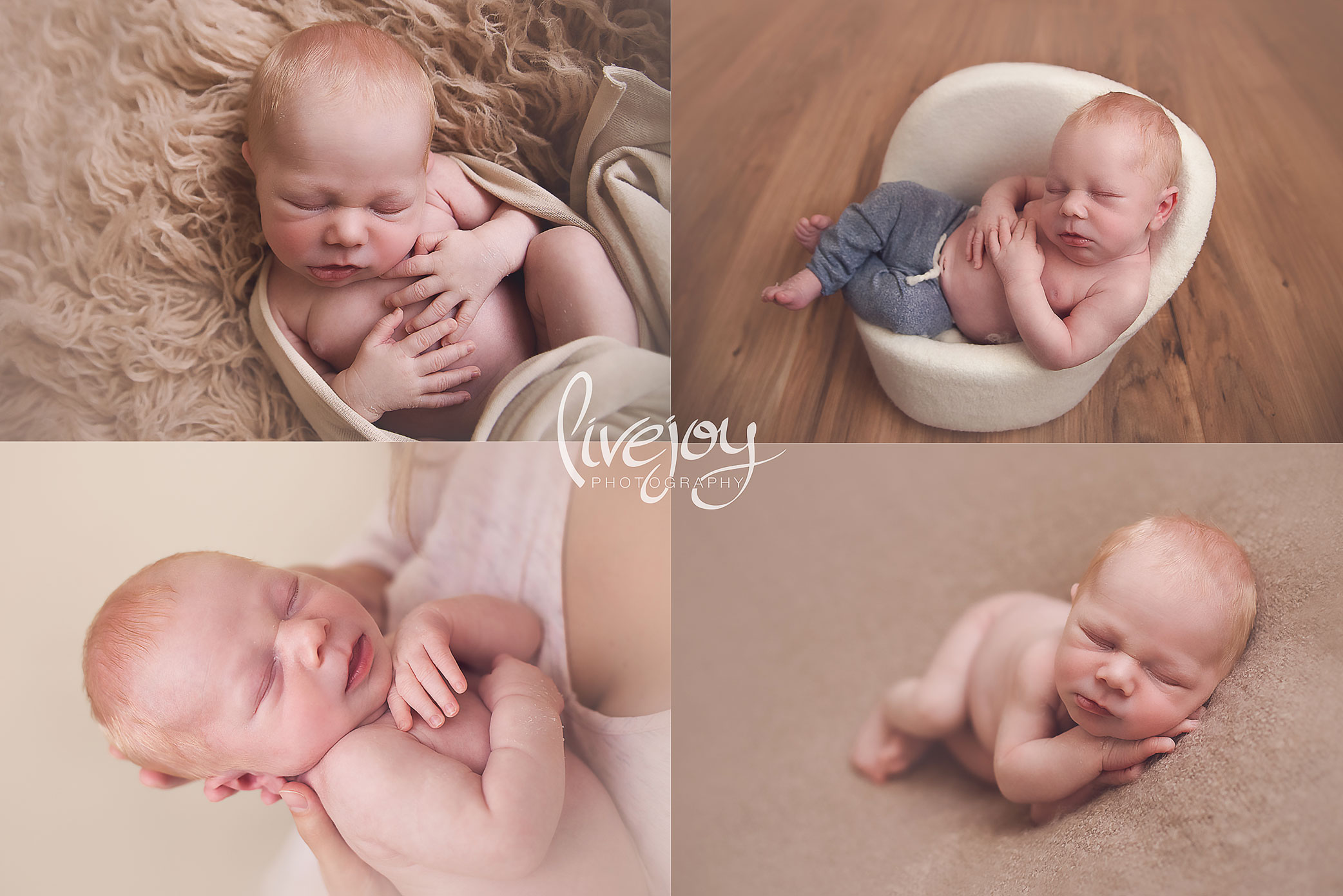 Newborn Photography | LiveJoy Photography | Oregon