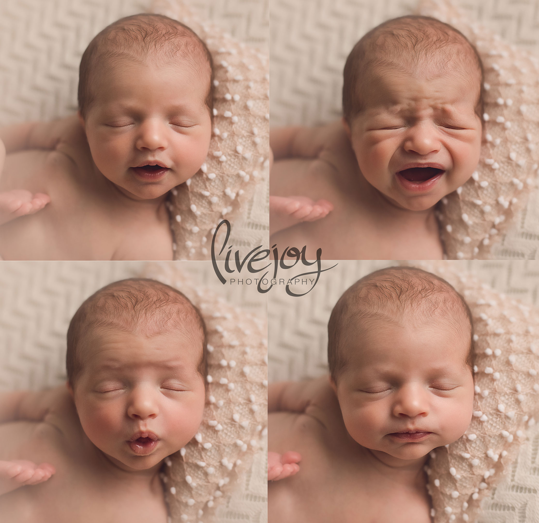 Newborn Photography | Oregon | Livejoy Photography