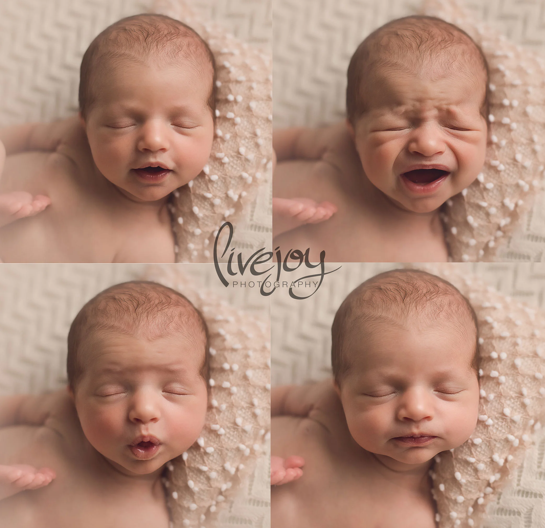 Newborn Photography | Oregon | Livejoy Photography