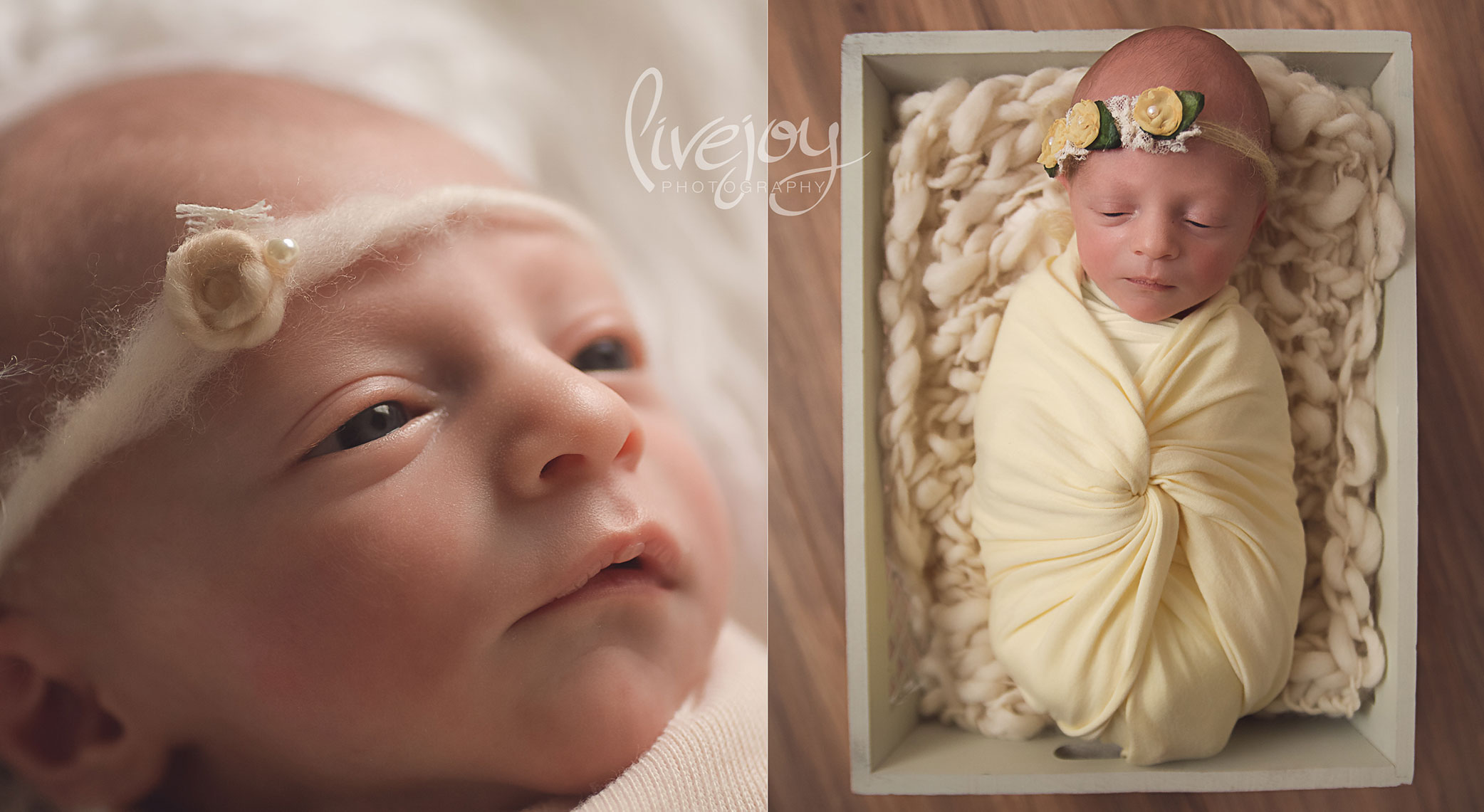 Newborn Photography | Oregon | Livejoy Photography