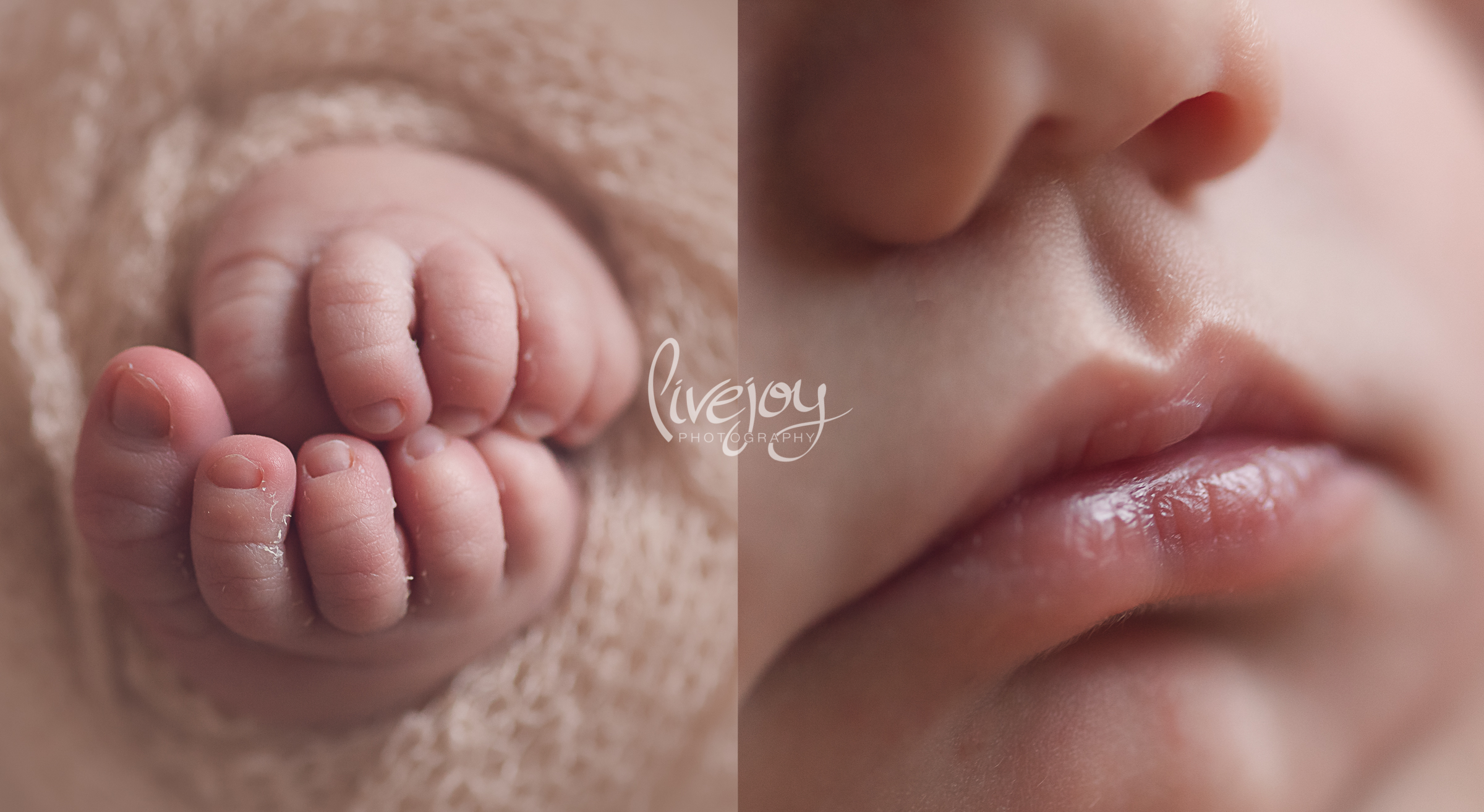 Newborn Photography | Oregon | Livejoy Photography