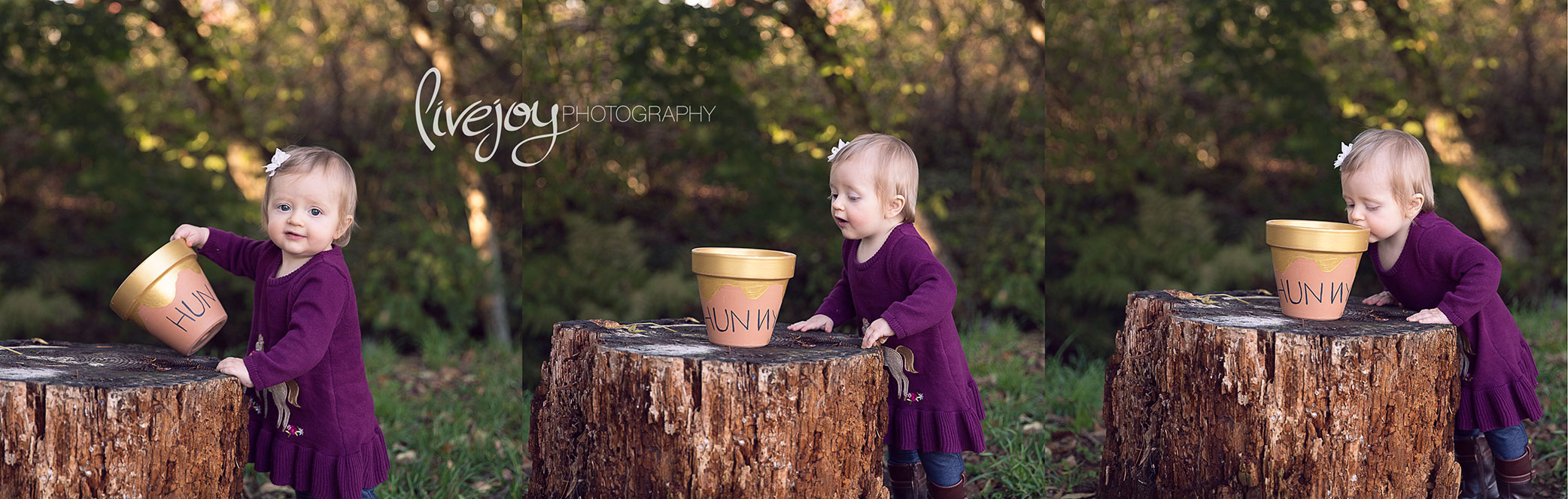 1 Year Old Pooh Photography | Oregon | LiveJoy Photography
