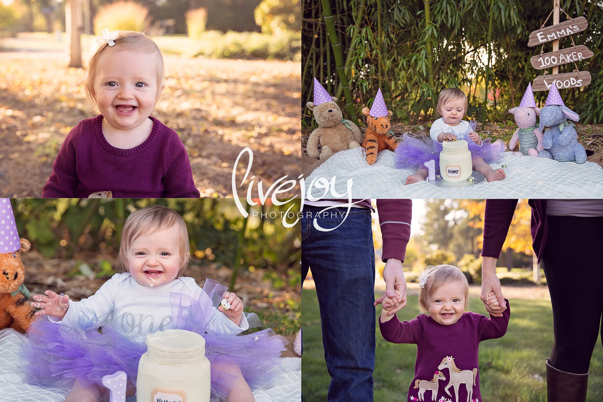 1 Year old Photography | Oregon | LiveJoy Photography