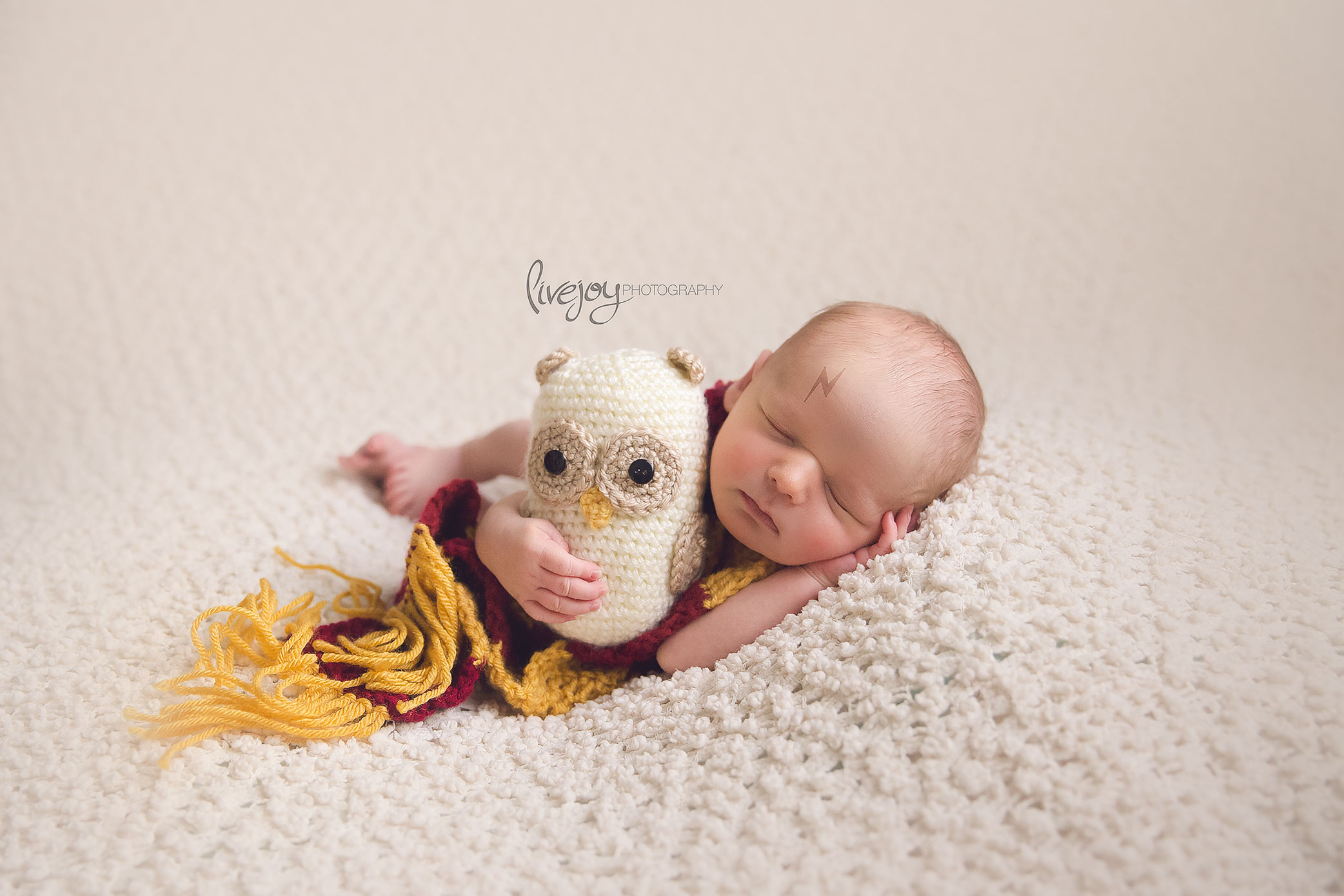 Newborn Photography Harry Potter | Salem, Oregon | LiveJoy Photography
