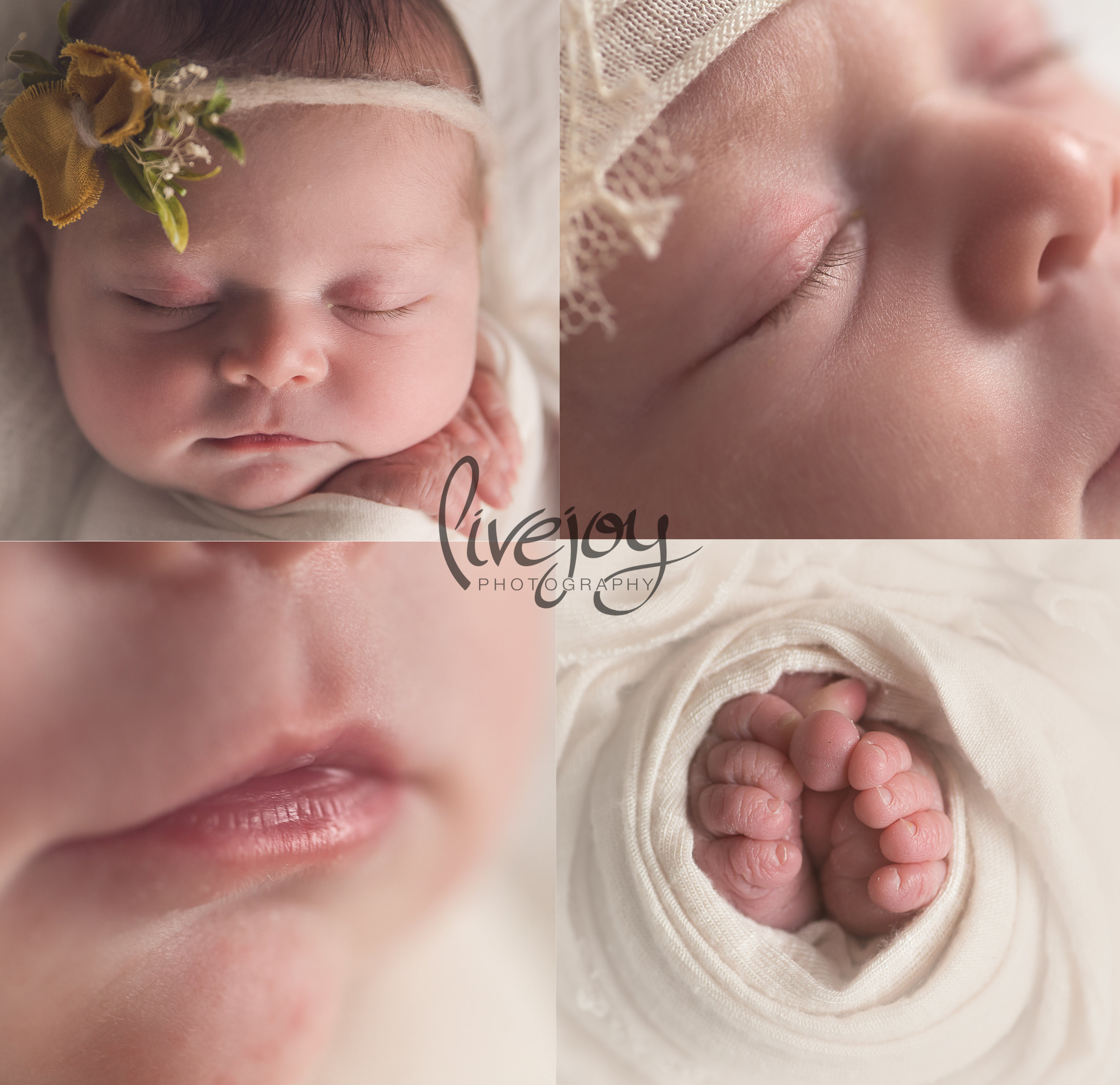 Newborn Photography | Salem, Oregon | LiveJoy Photography