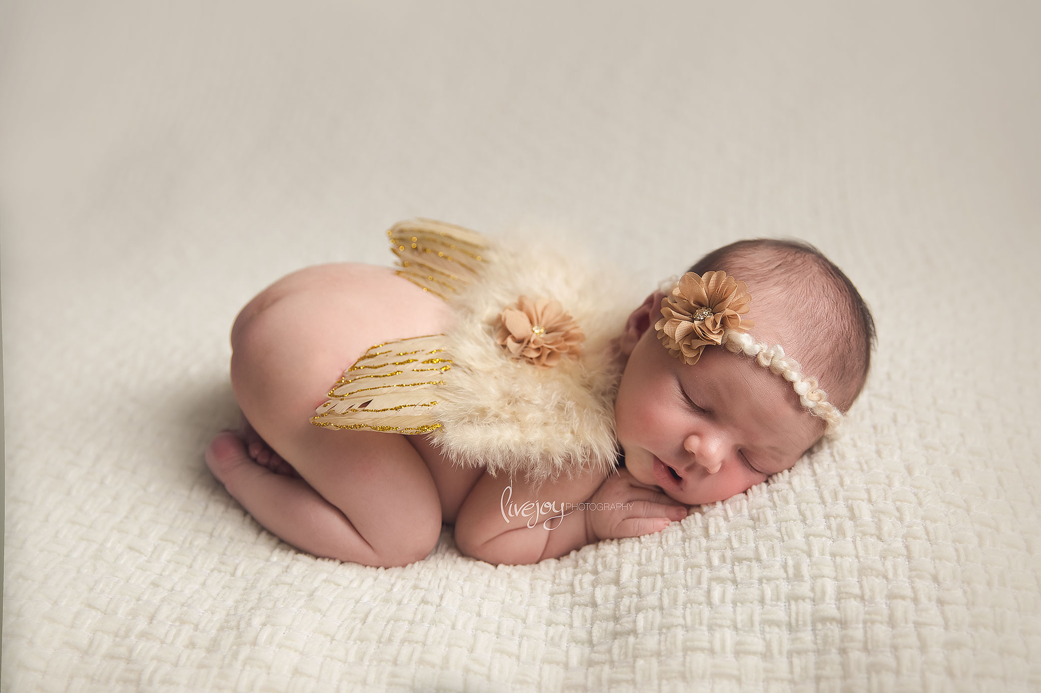Newborn Photography Angel Wings | Salem, Oregon | LiveJoy Photography