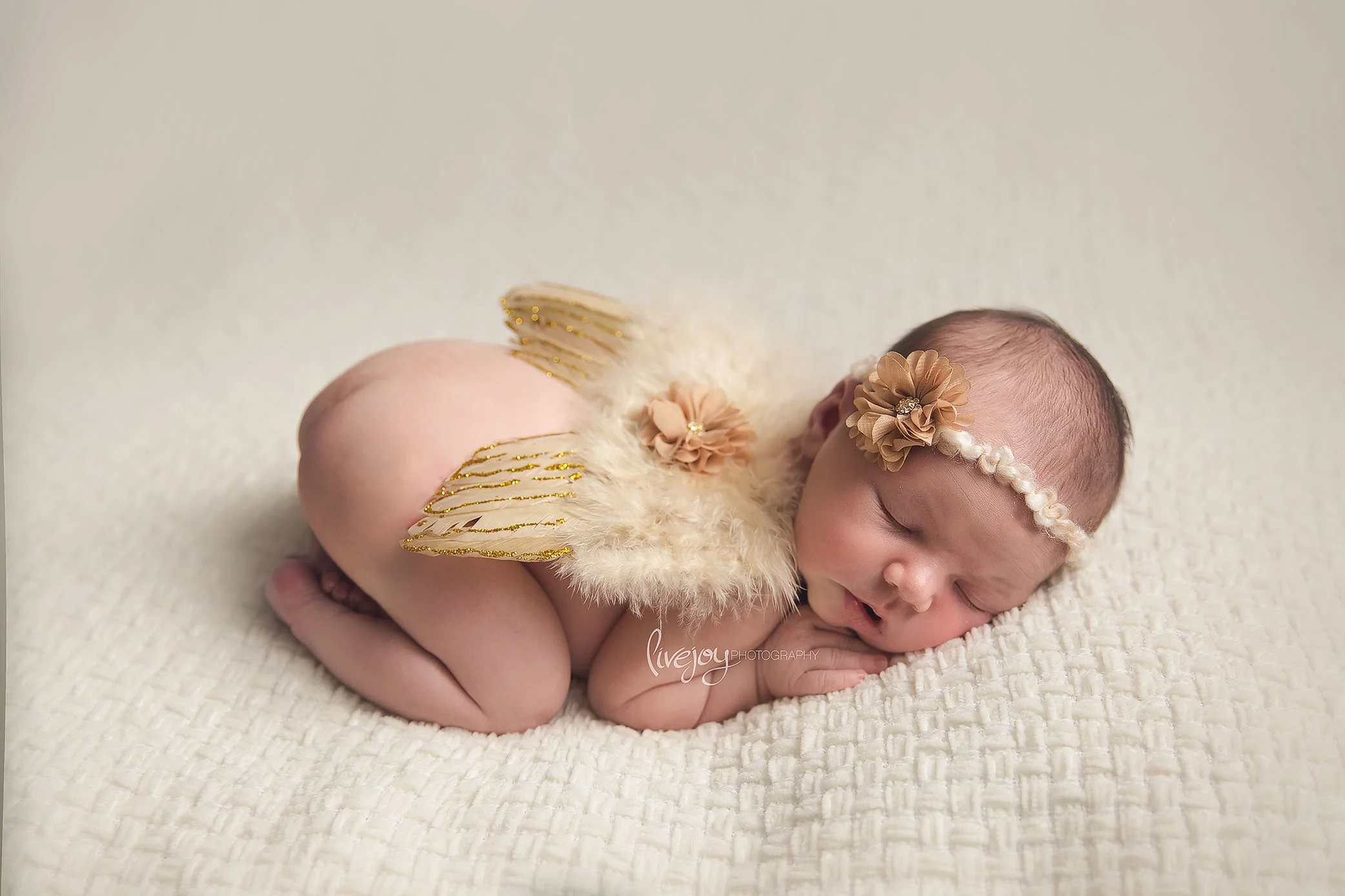 Newborn Photography Angel Wings | Salem, Oregon | LiveJoy Photography