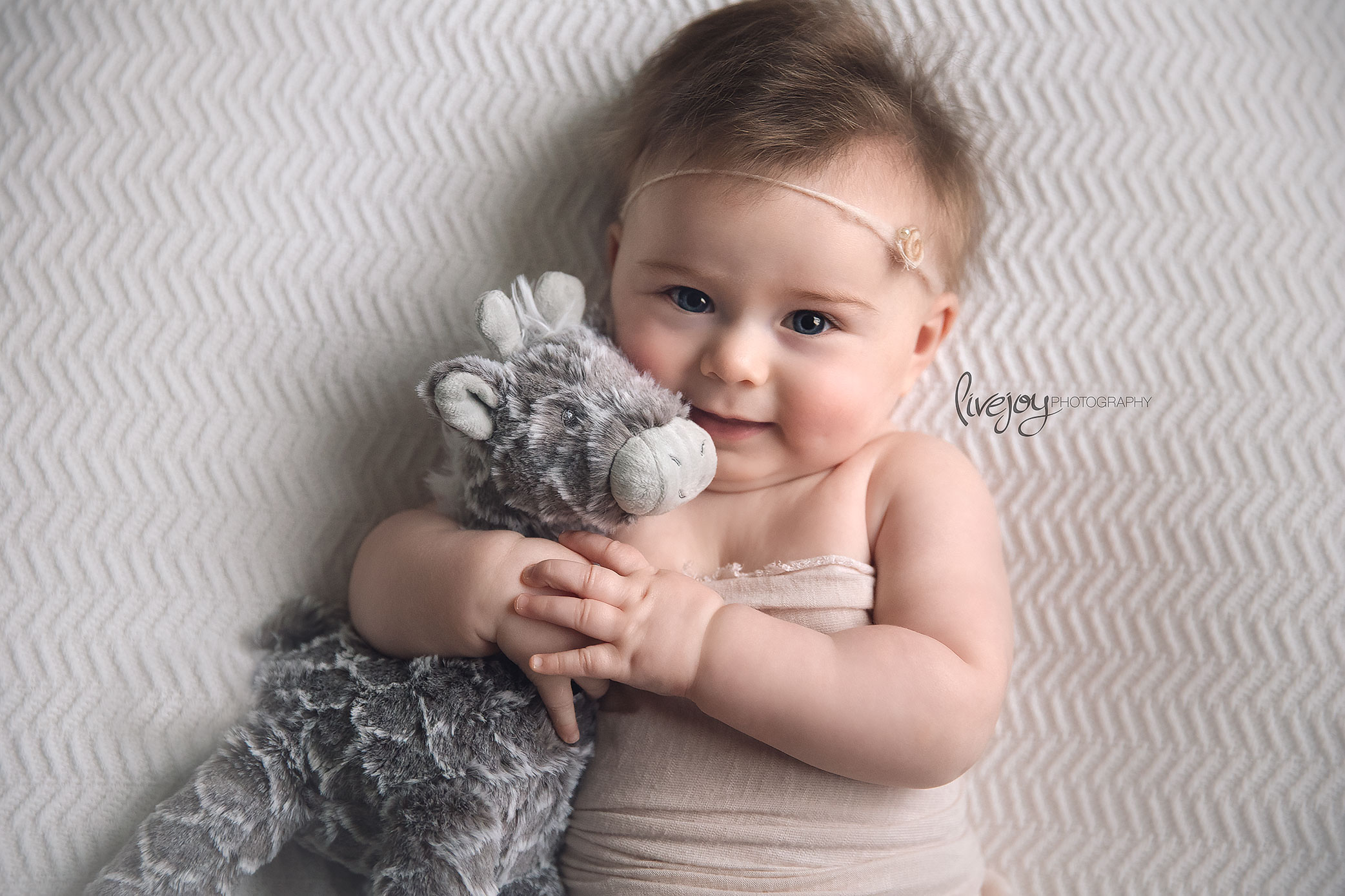 Baby Photography - 6 Months - LiveJoy 