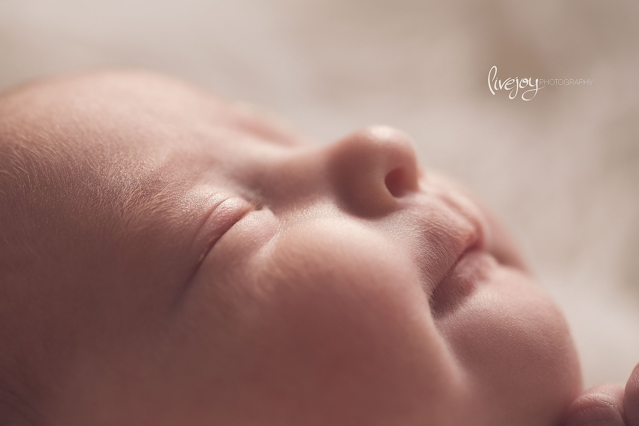 Macro Newborn Photography | Oregon | LiveJoy Photography