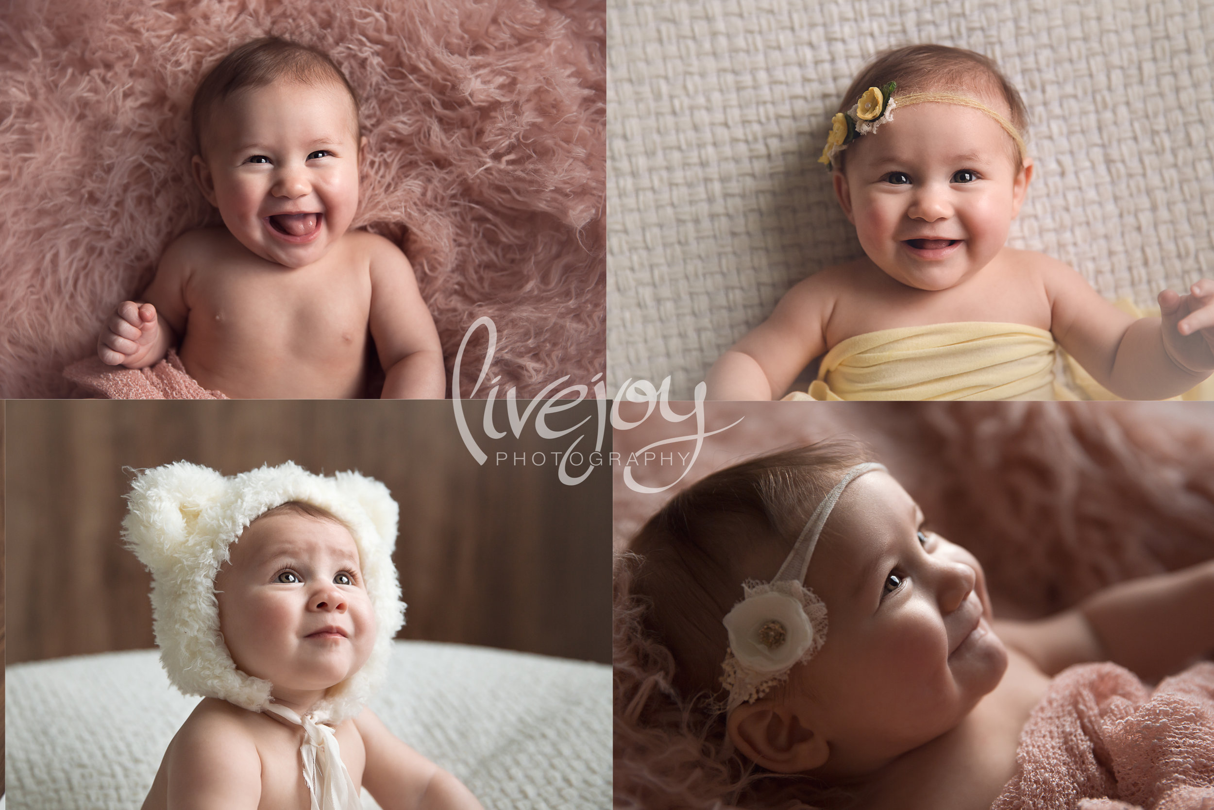 Six Month baby Girl Photography | Oregon | LiveJoy Photography