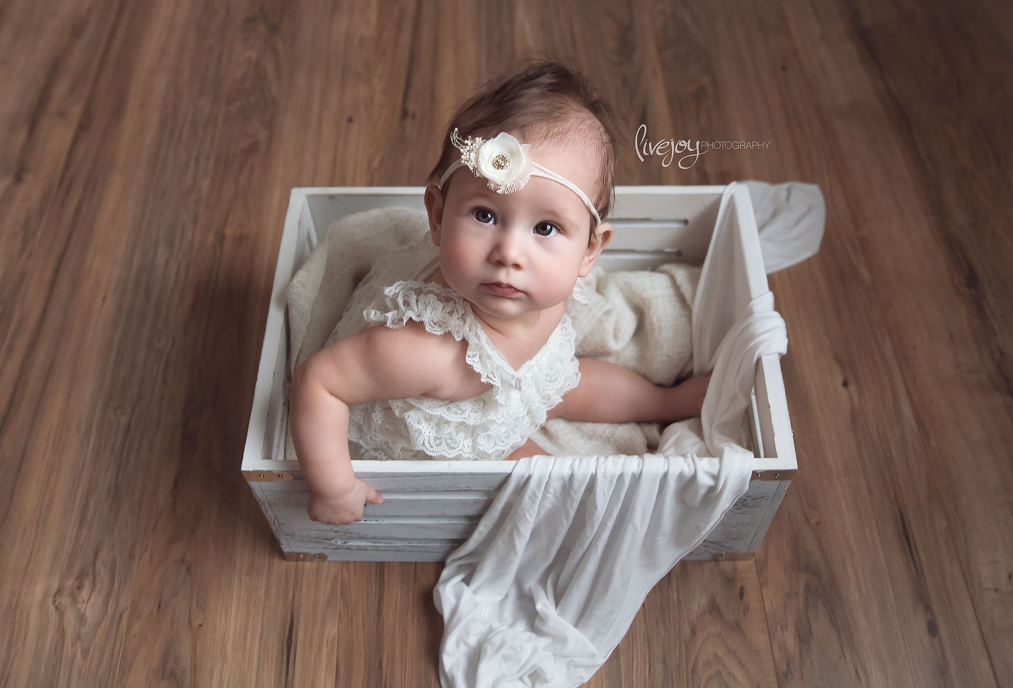 Six Month Girl Photography | Oregon | LiveJoy Photography