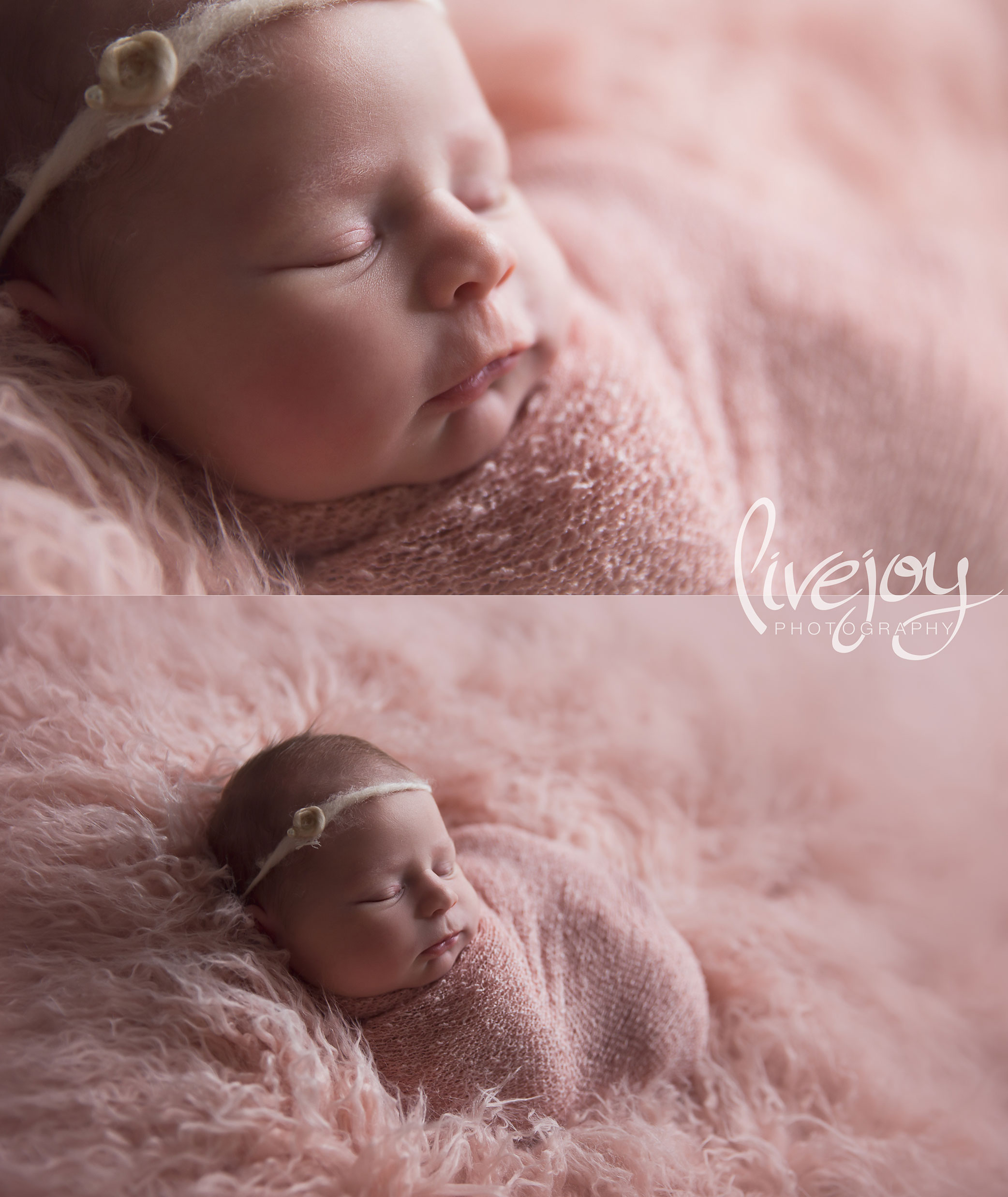 Newborn Photography Girl | LiveJoy Photography | Oregon