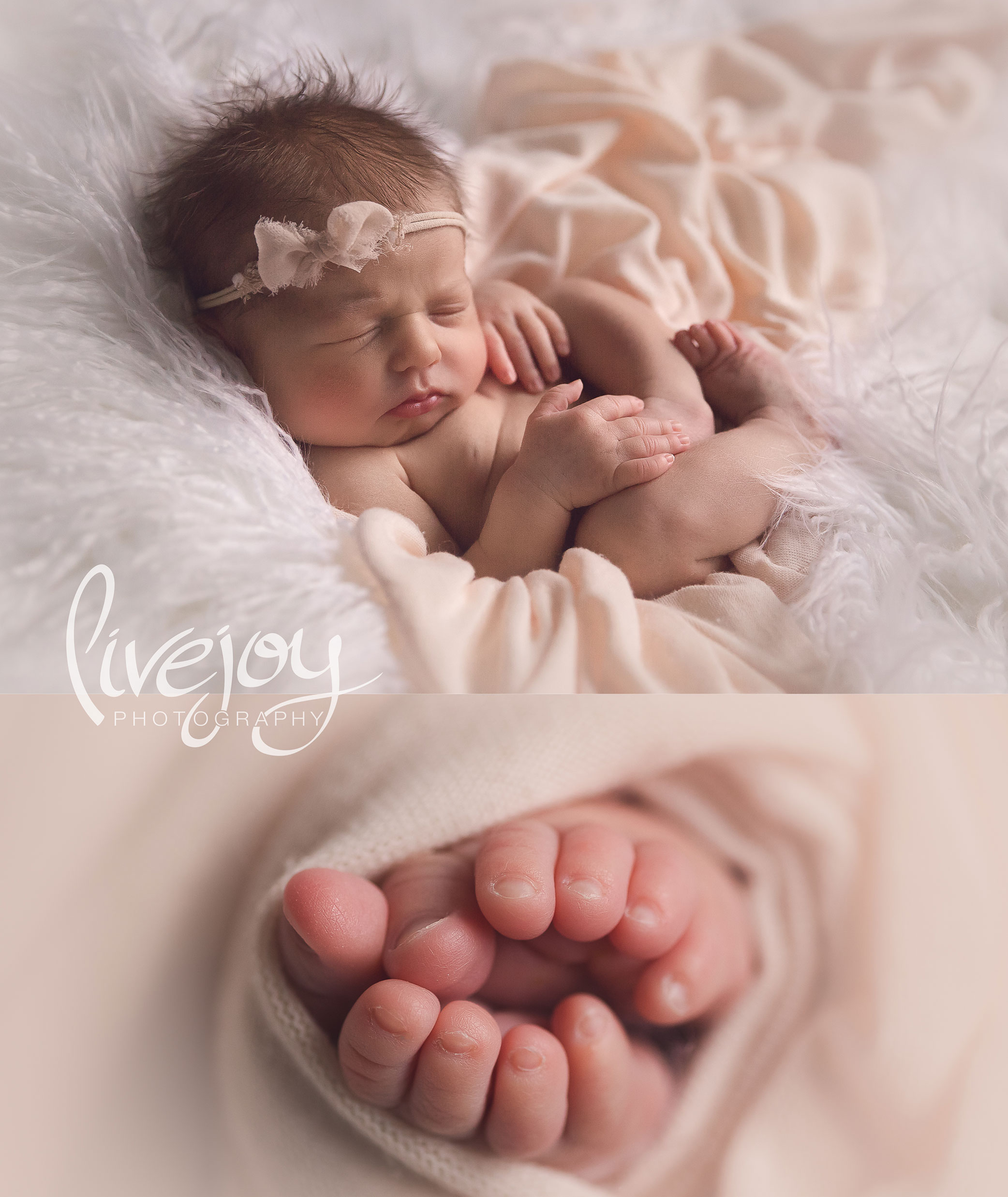 Newborn Girl Photography | LiveJoy Photography | Oregon