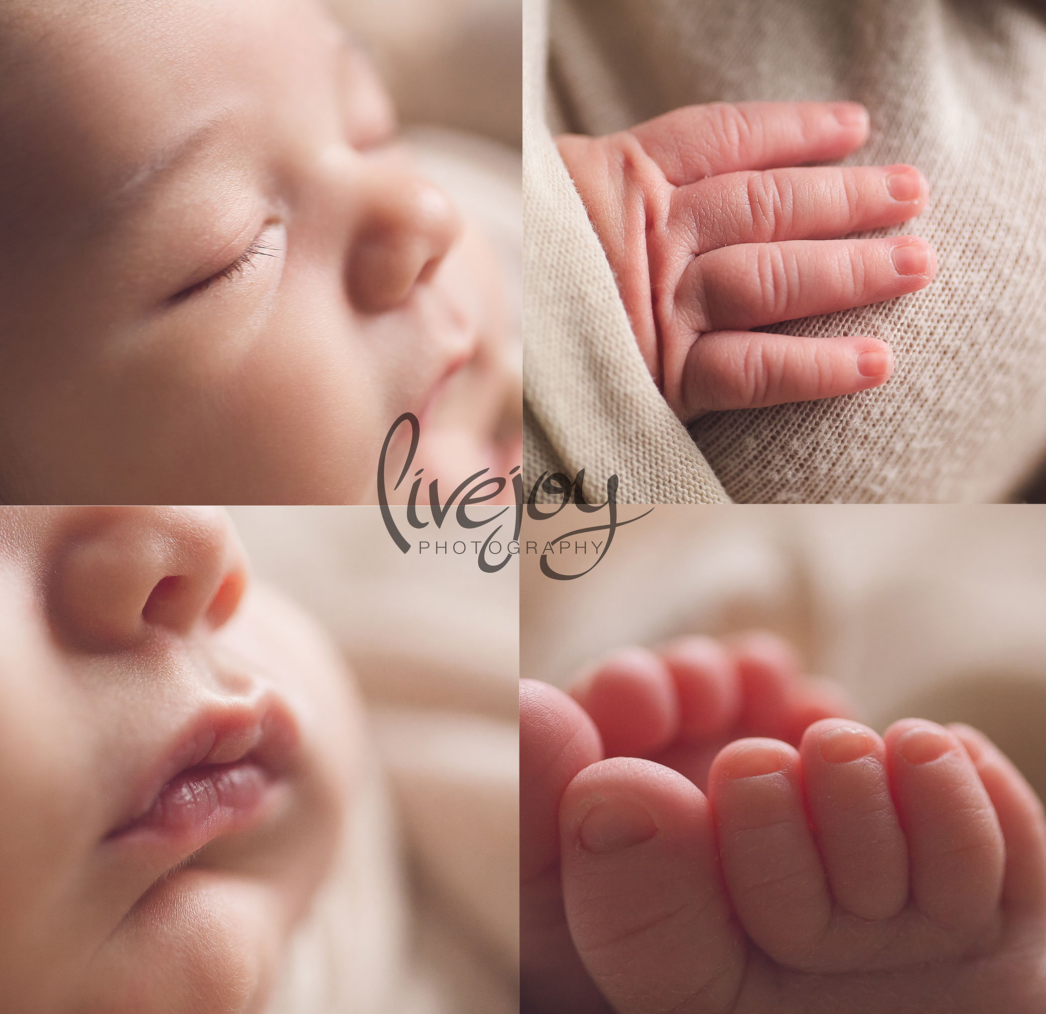 Newborn Macro Details Photography | LiveJoy Photography | Oregon