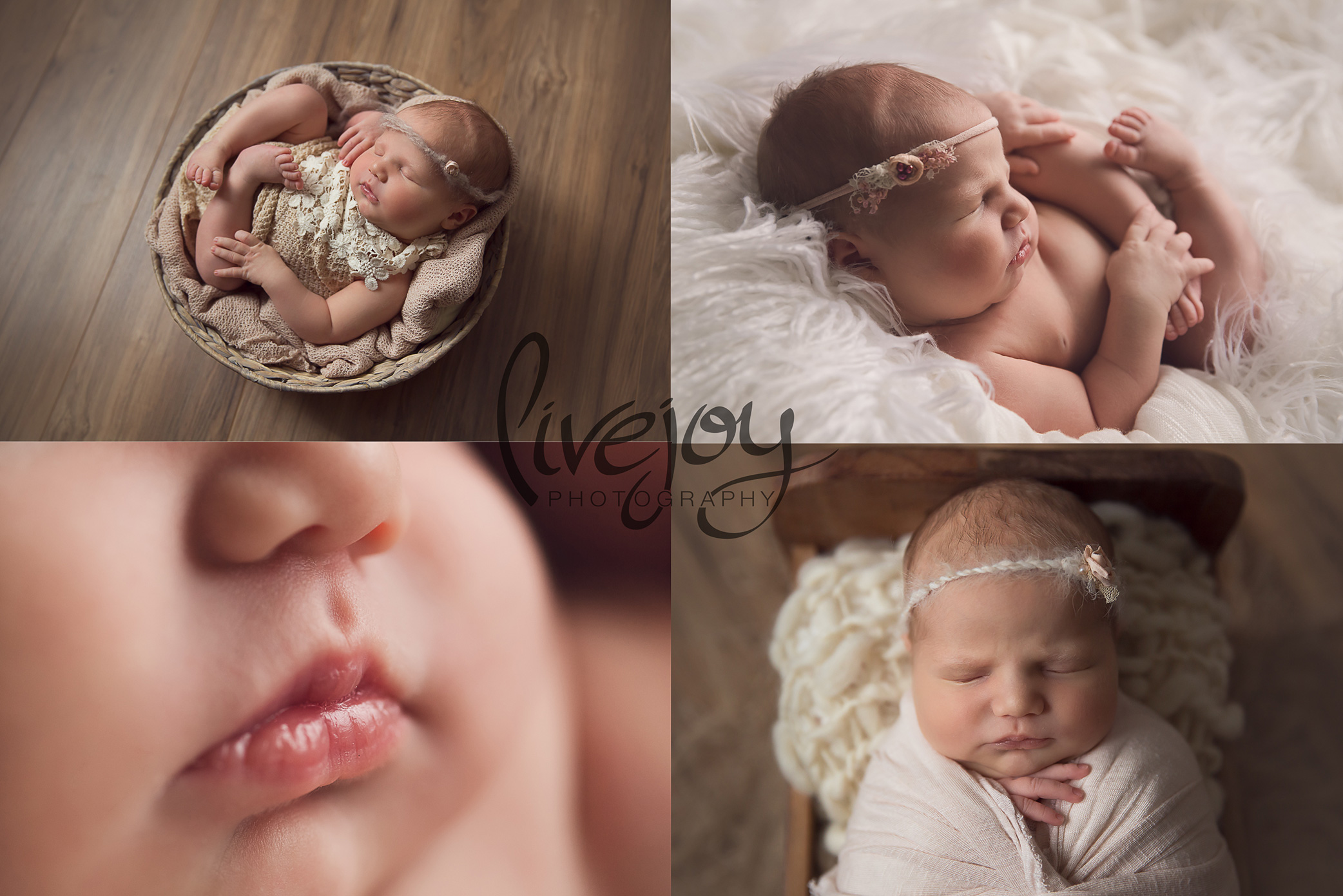 Newborn Girl Photography | Oregon | LiveJoy Photography