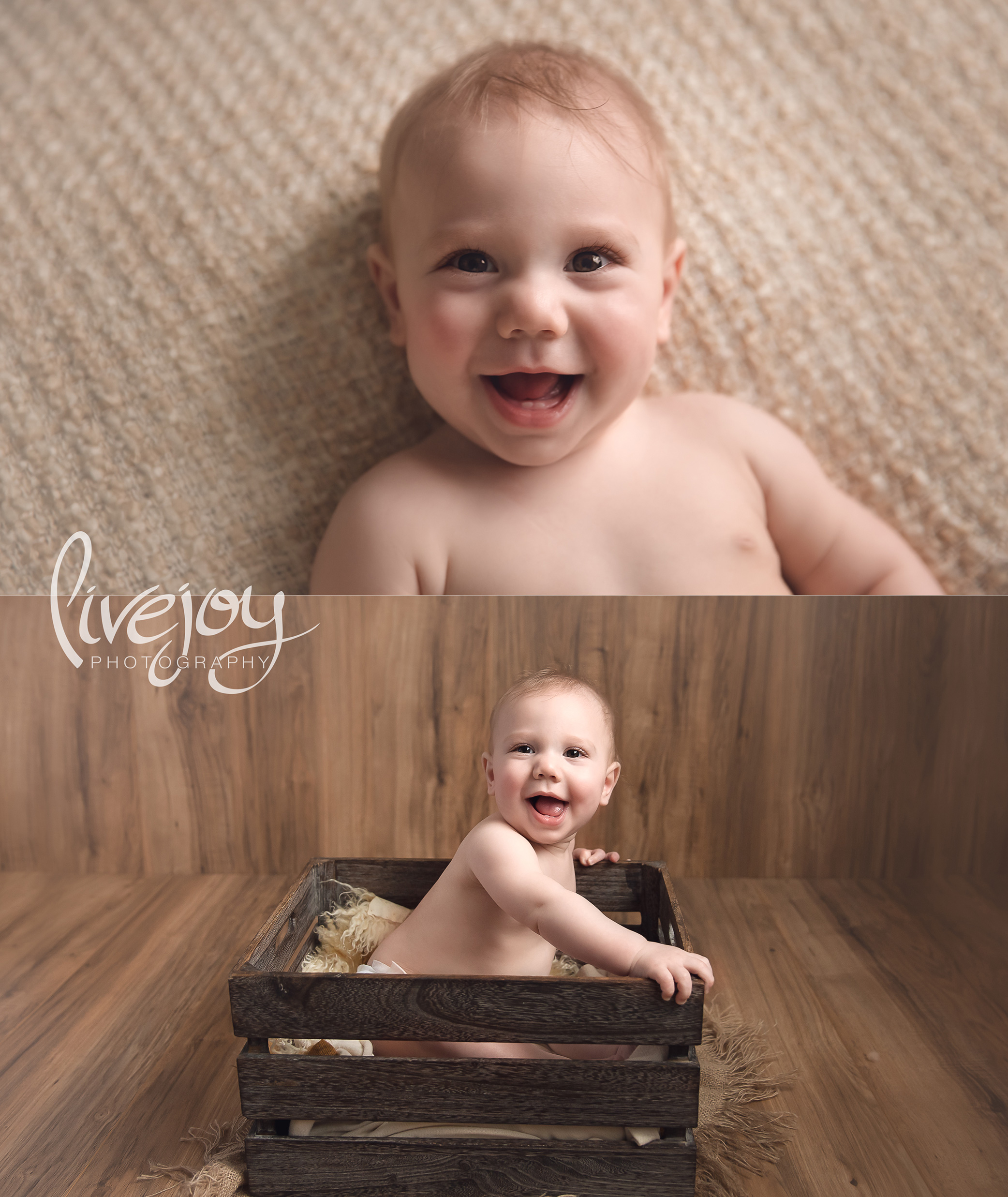 6 month Old Baby Photos | Oregon | LiveJoy Photography